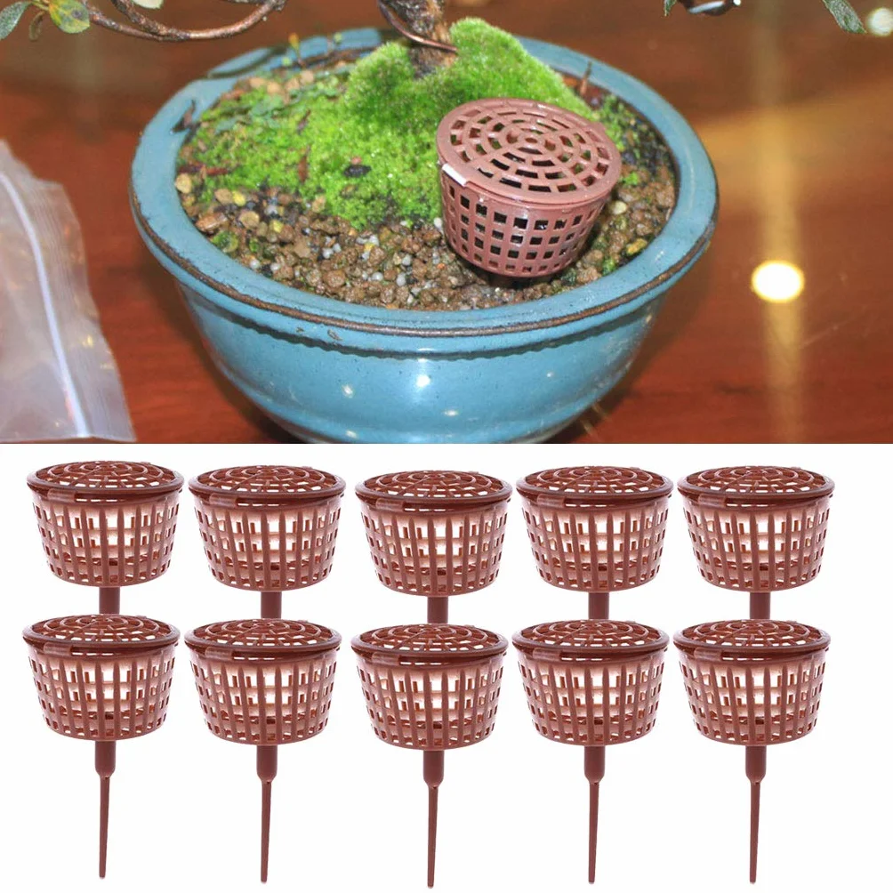 KOFUN Boîte d'engrais pour bonsaï avec couvercle, 10 pièces, outil de bonsaï