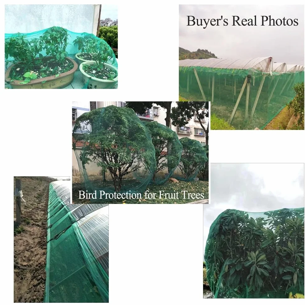 Filet Anti-grêle pour Jardin, Garden Hail Bird Netting Green Multiple Sizes | 14x50m