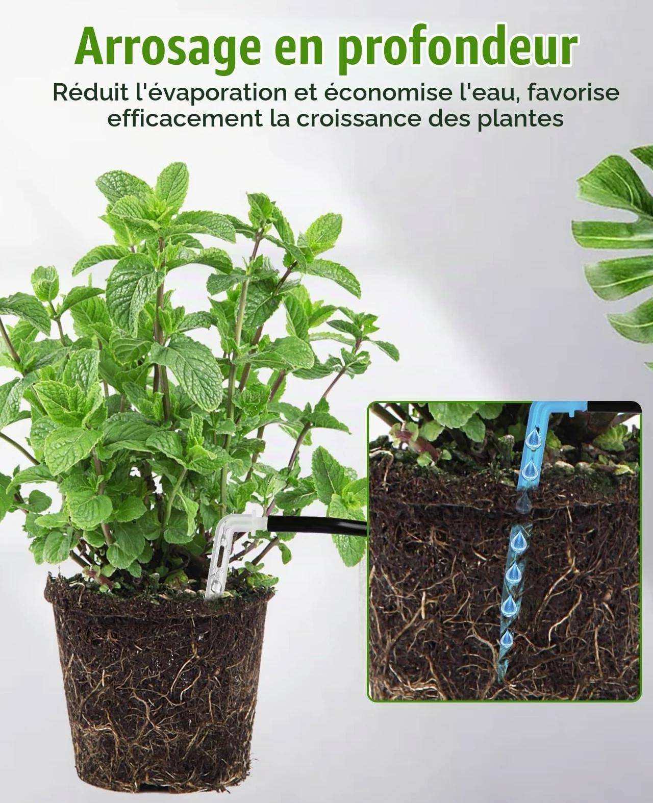 Lvelfe Système d'arrosage automatique, Kit d'irrigation goutte à goutte automatique, affichage LED et alimentation USB, système d'irrigation d'intérieur pour plantes en pot