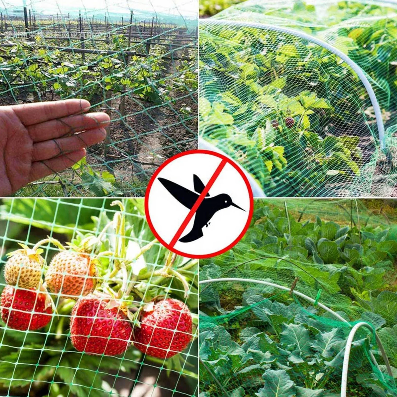 Filet Protection Oiseaux Potager Filet Jardin Anti Oiseaux pour Filet de Plantes, Protège Plantes, Fruits, Fleurs et Légumes,6x10m
