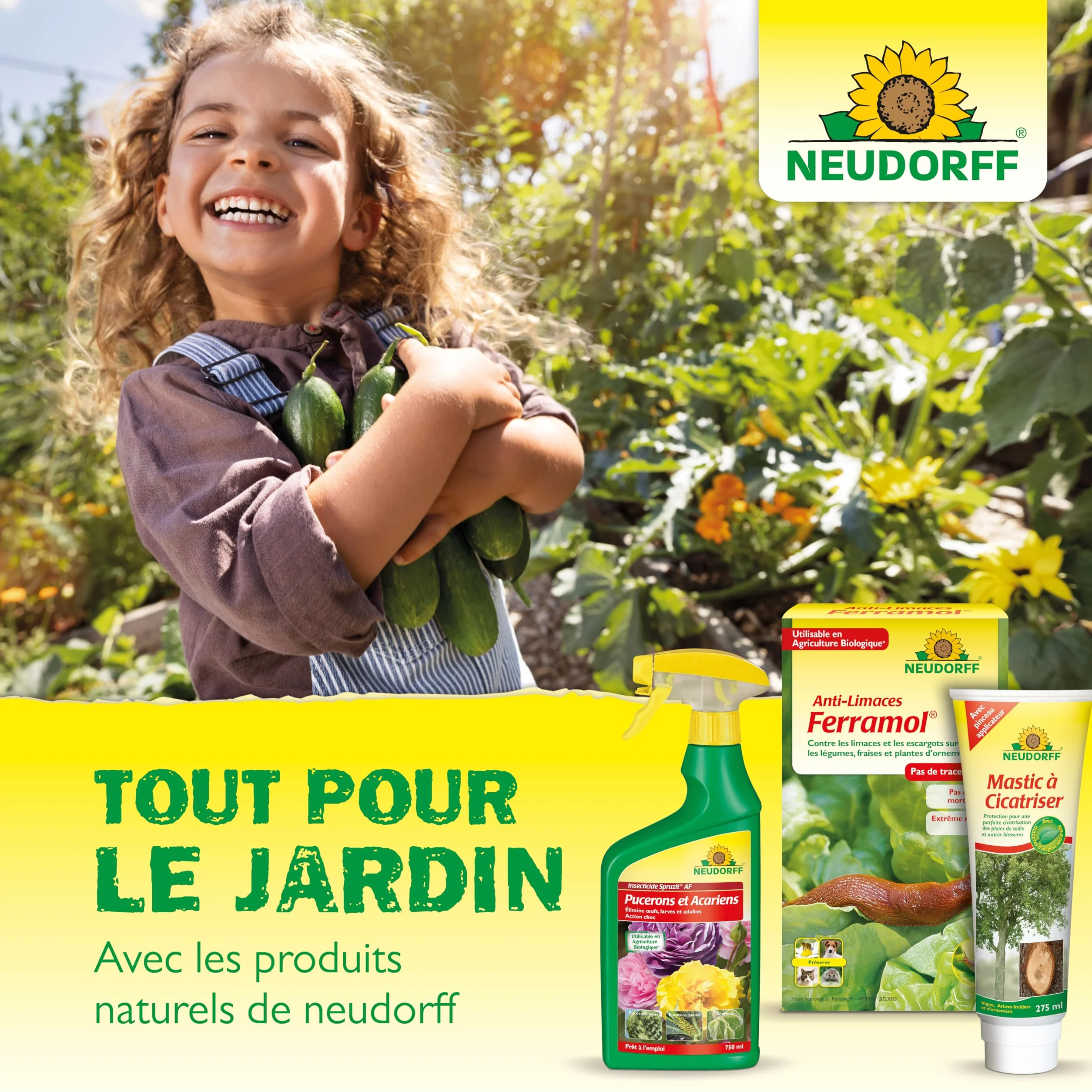 Neudorff Finalsan Désherbant Allées Terrasses 2,5 L sans glyphosate action rapide