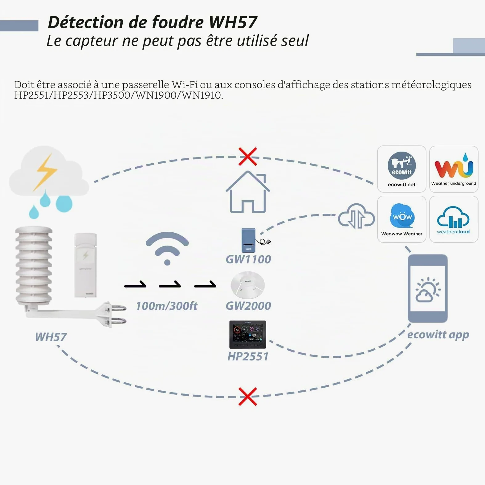 Ecowitt Détecteur de foudre sans fil Capteur Accessoire pour Ecowitt Station Météo Ecosystem WH57