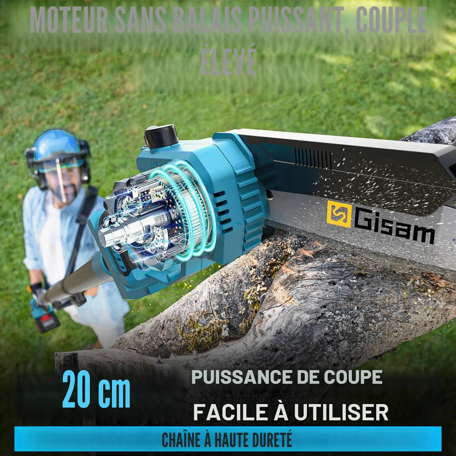 Mini TronçOnneuse 2 En 1 Avec Perche TéLescopique,Moteur Sans Balais 2600w,TronçOnneuse 8 Pouces, Lubrificateur Automatique Et 2 * 4000 Mah,Extensible Jusqu'à 4,2m Pour Branches D'Arbres, Coupe