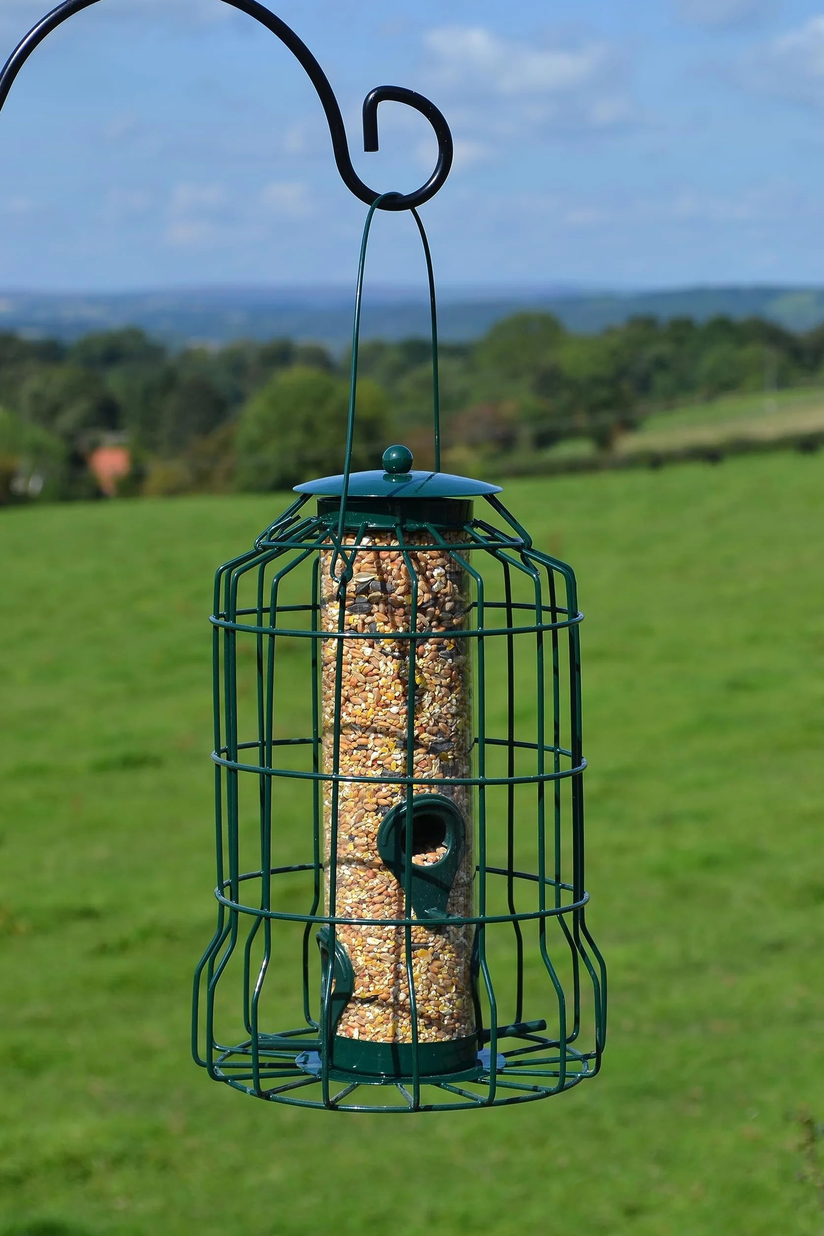 Supa Mangeoire à graines en Cage pour Oiseaux Sauvages dissuade Écureuils et Grands Oiseaux