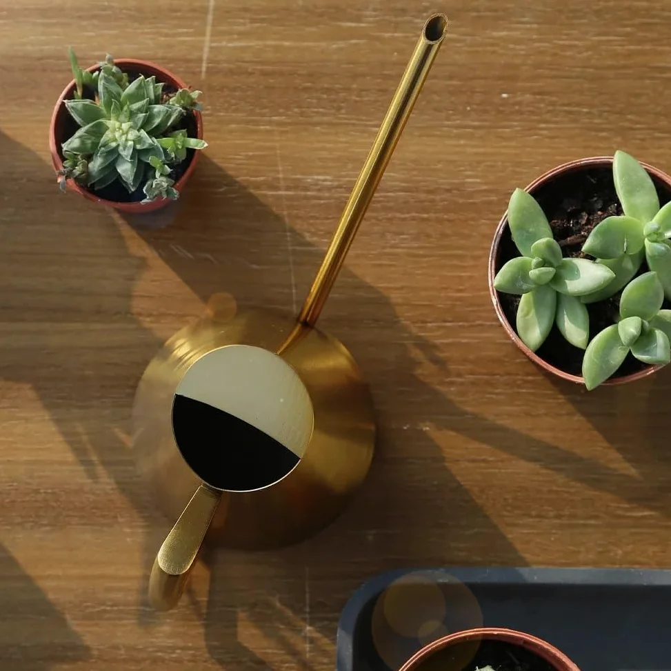 Arrosoirs Arrosoir en Acier Inoxydable, Petit Pot avec poignée for Plantes à Fleurs, Outil de Douche de Jardin