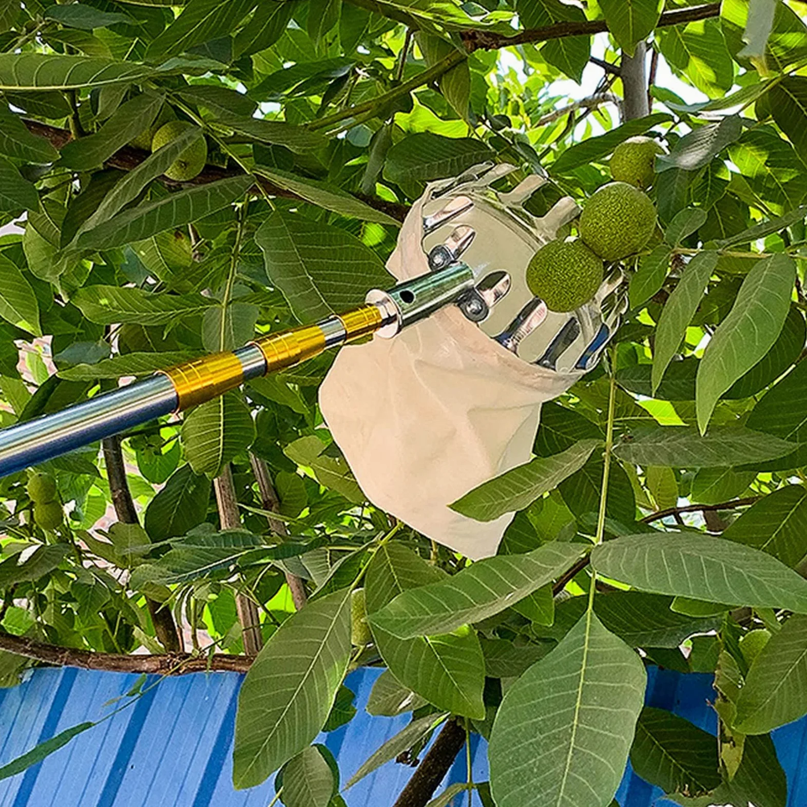 Pince à fruits télescopique avec panier pour une récolte facile, outil pratique pour cueillir les fruits