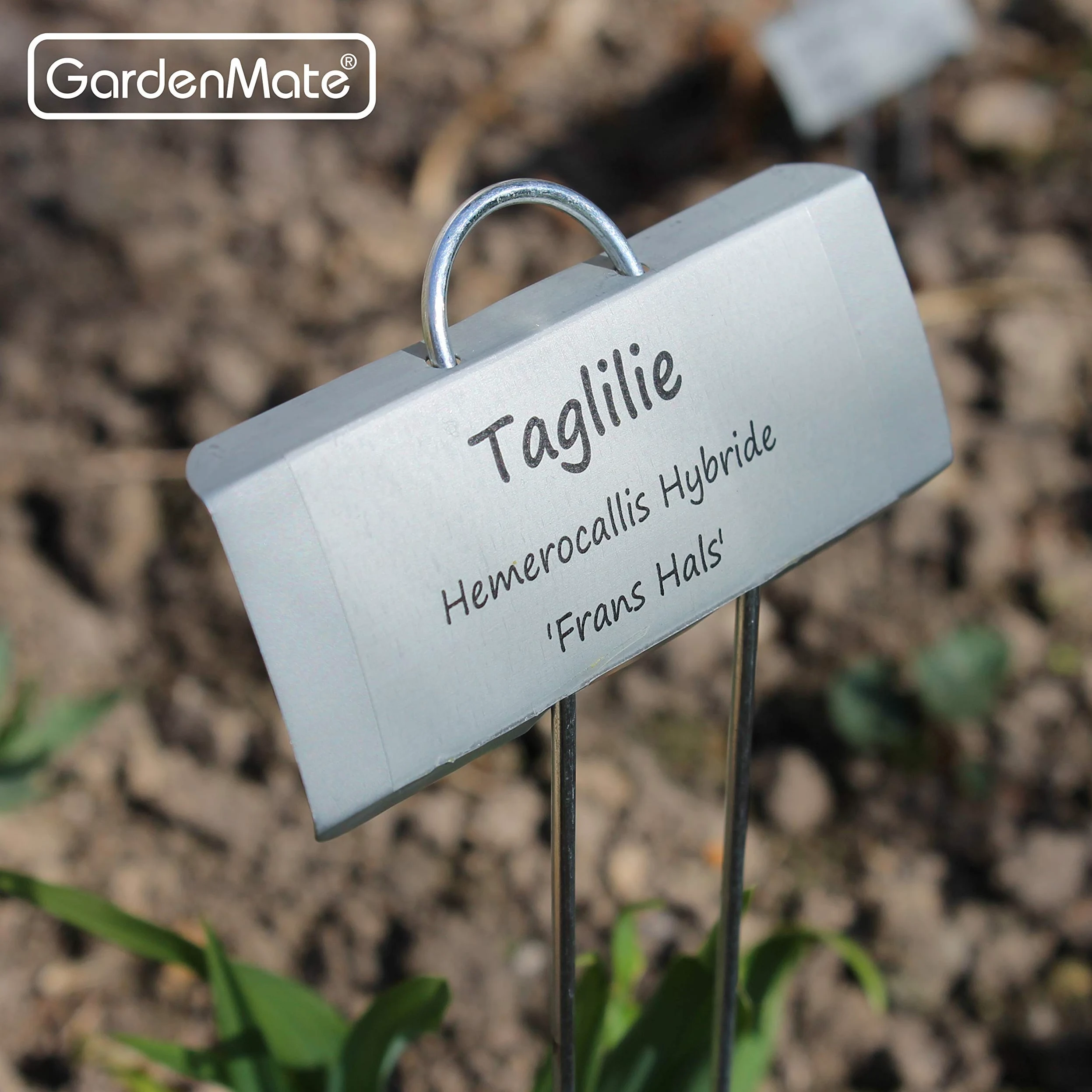 GardenMate Lot d'étiquettes pour plantes en métal résistant aux intempéries 50-Pack 11.5'' LARGE ZINC