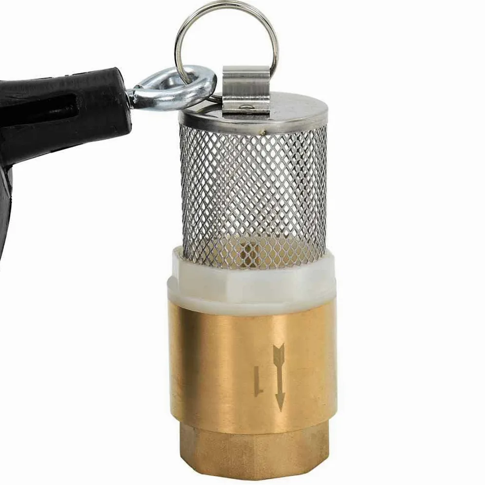 Tuyau d'Aspiration 10 m Noir PVC 1" 25 mm avec Raccords Laiton, Crépine & Clapet de Pied Flottant, Pompe Jardin Filtre Eau Domestique, Pression 6 Bar