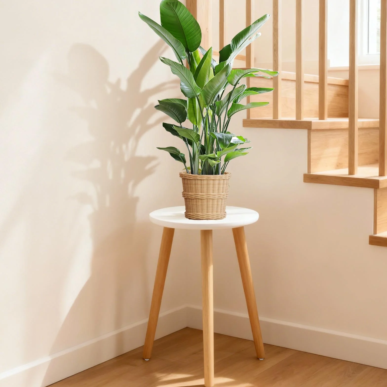 Support de Plantes en Bois Blanc Tabouret Rond pour Pots de Fleurs 42x28cm
