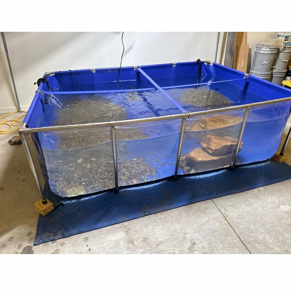 Rygcrud Bassin Hors Sol, Piscine pour Tortues dans Le Jardin, Bassins D'élevage De Poissons avec Fenêtre D'observation, Revêtement en PVC Et Structure en Acier, Facile À Assembler.(50x40x30cm)