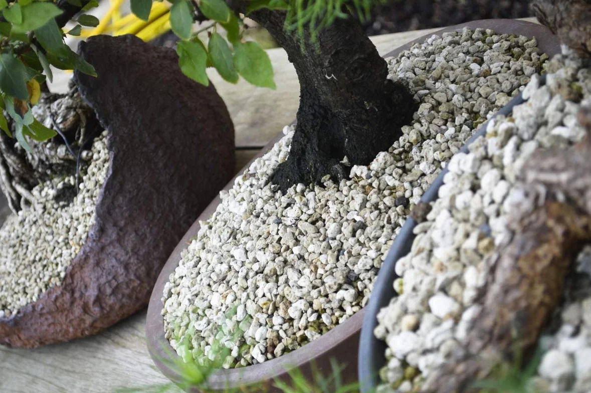 Cuir D'or Pumice pour Bonsaï 1KG