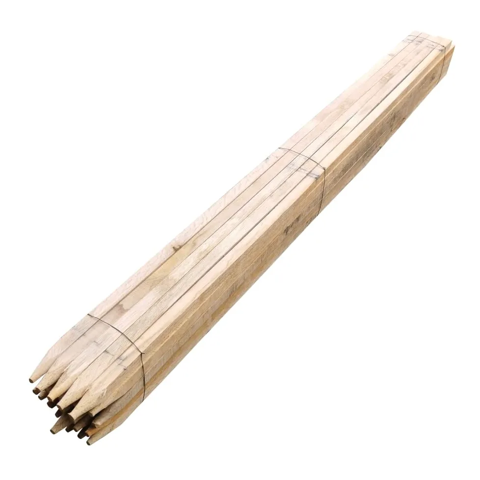 Poteaux en Bois Dur, piquets de Plantes, piquets en Bois, tiges en Bois de robini, Pointus 2,0 m, Ø 25 x 25 mm 2,0m