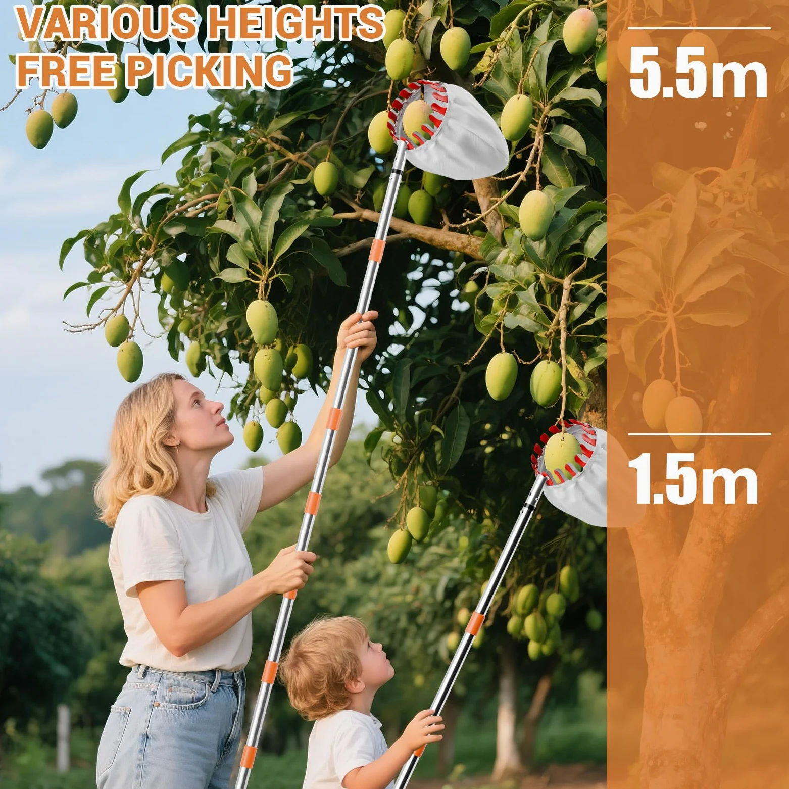 4,2 m Cueilleuse à fruits pour pommes et cerises avec manche télescopique Ø 16 cm | Cueilleuse à fruits sûre et confortable pour cerises, pommes, pêches, prunes avec sac en filet à fruits et sac de rangement