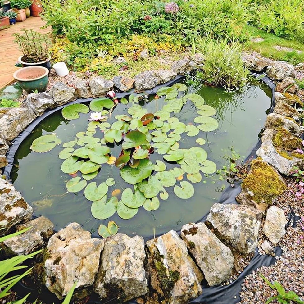 Bâche De Bassin Renforcée en PEHD, Bâches pour Bassins Extérieurs À Carpes Koï, pour Poissons, Canards, Plates-Bandes Surélevées Et Bassins Aquatiques(6x20m)