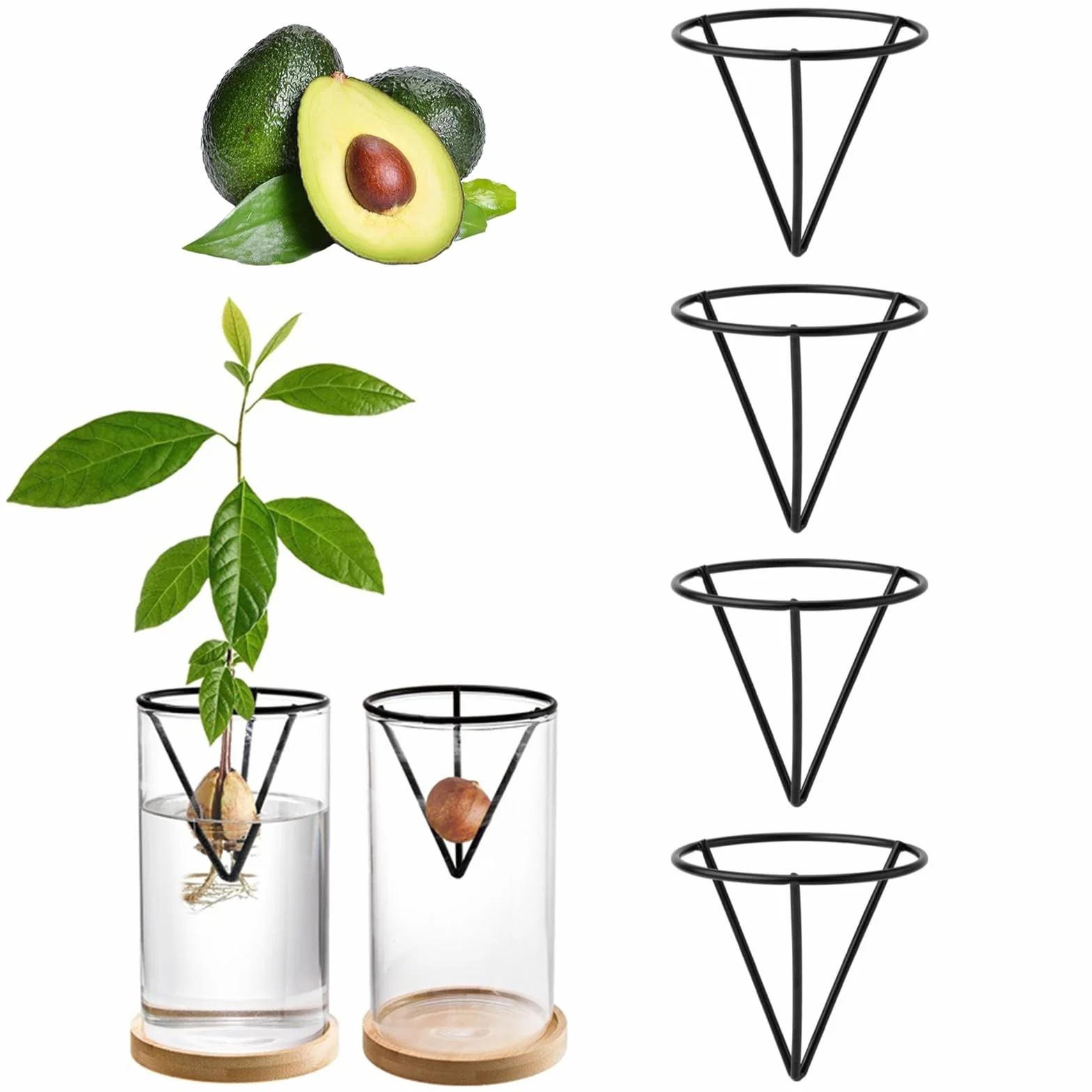 Lot de 4 Kits de Culture d'Avocat Professionnels - Supports de Graines Triangulaires en Métal