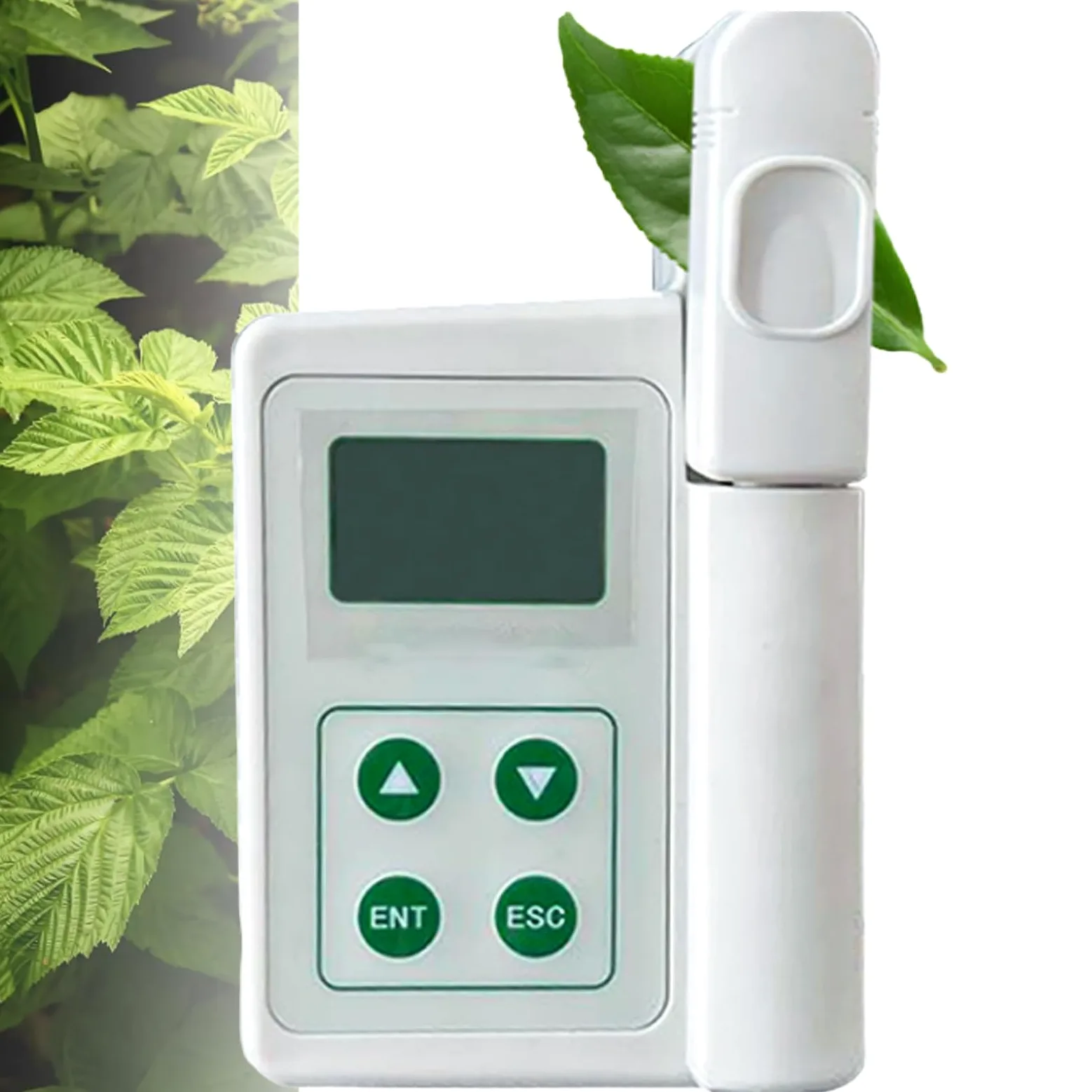 Humidimètre chlorophylle - Testeur de température et d'azote pour la nutrition des plantes et la surveillance de la santé