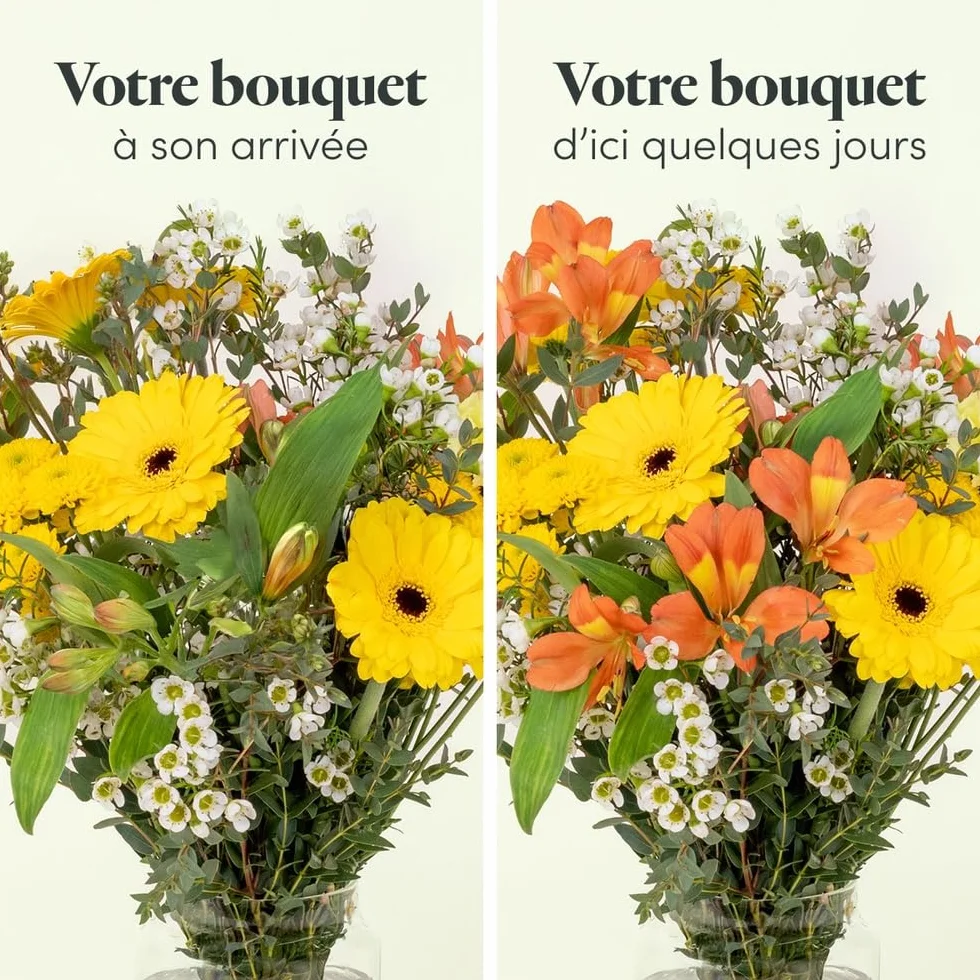 Fleurs et Délices Petit Soleil Grand Bouquet Jaune et Orange 14 Tiges