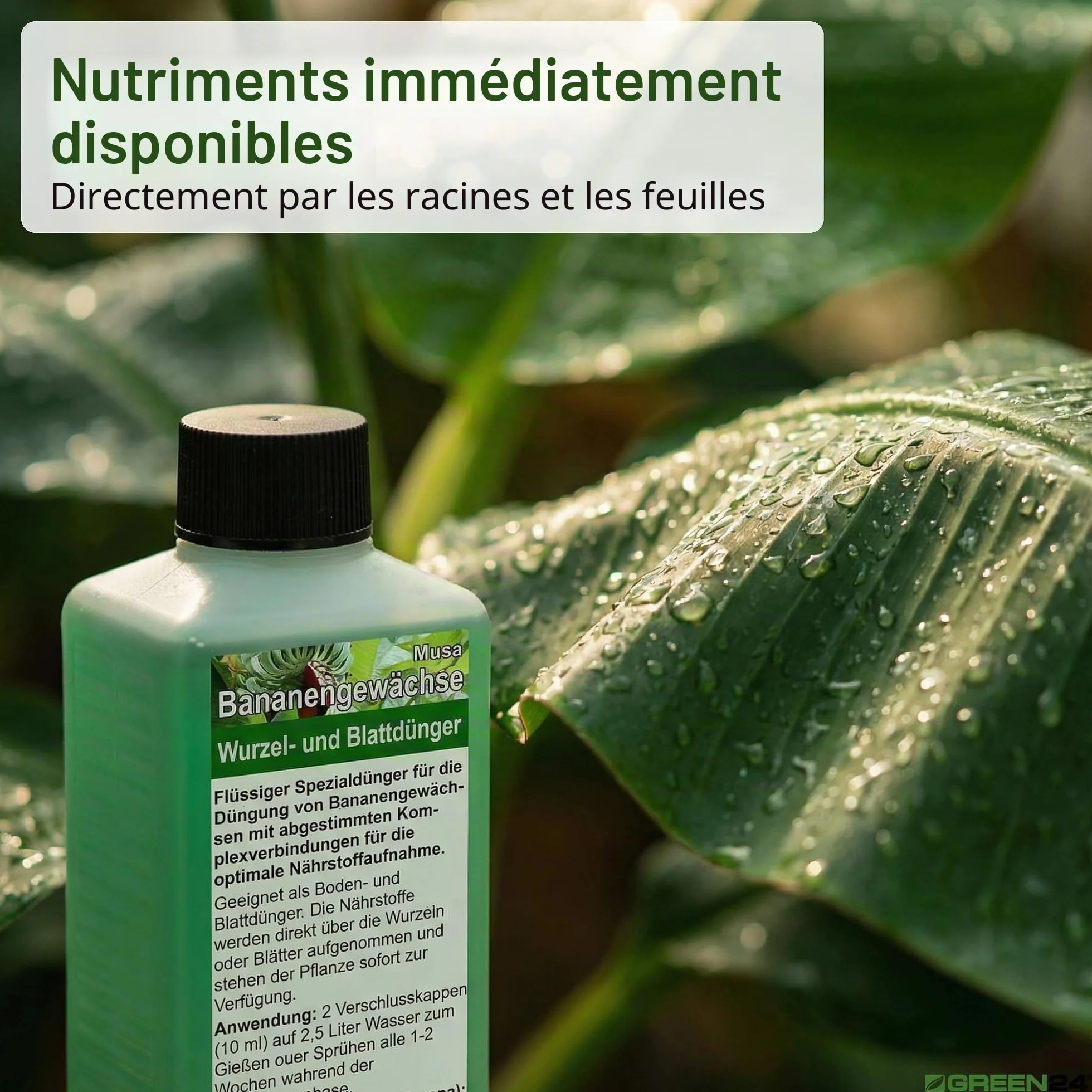 Green24 Engrais pour bananes Musa Haute technologie