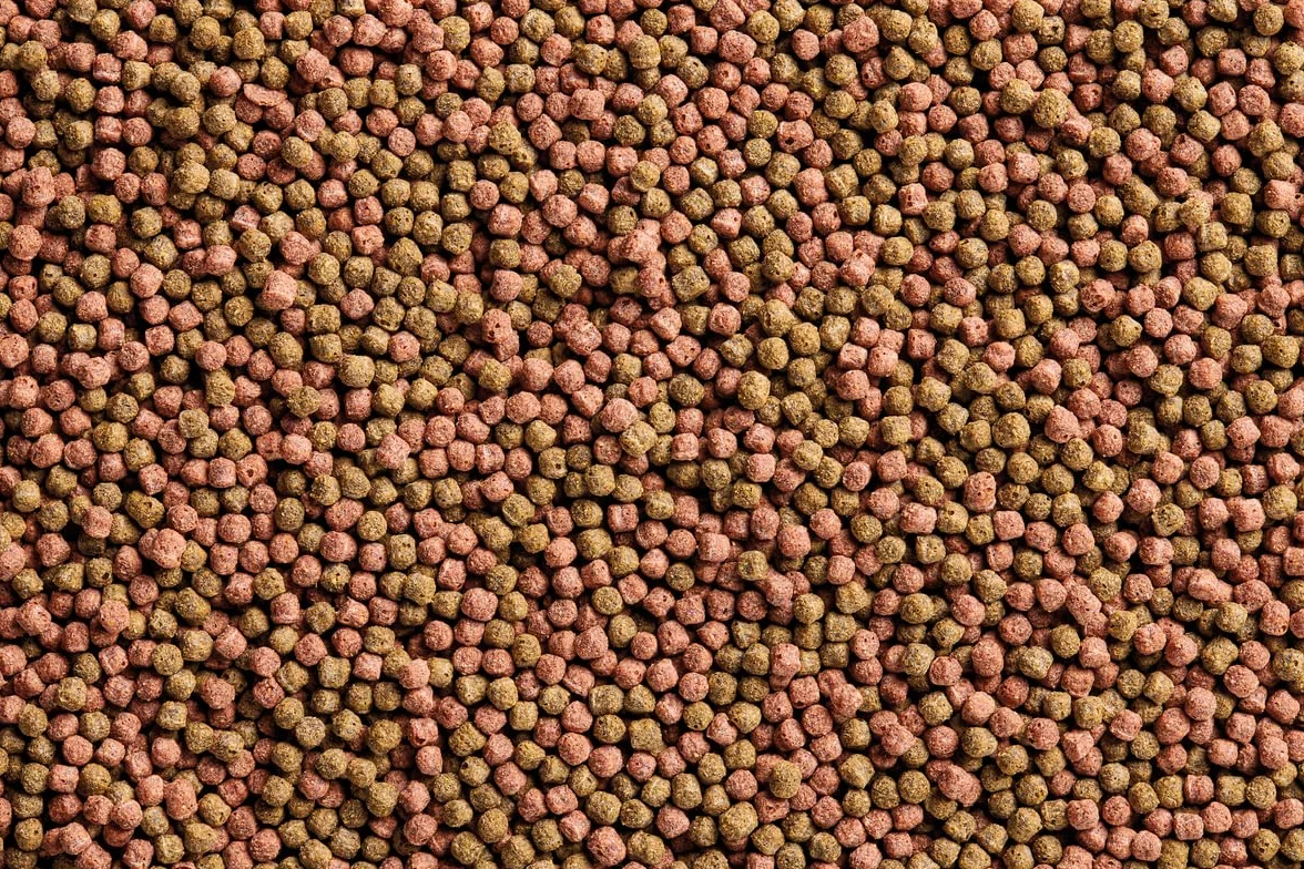 Dynamix Koi Pellet 8 l, Nourriture pour Poissons de Bassin, Nourriture pour Koïs, Petit Taille, 2.8kg