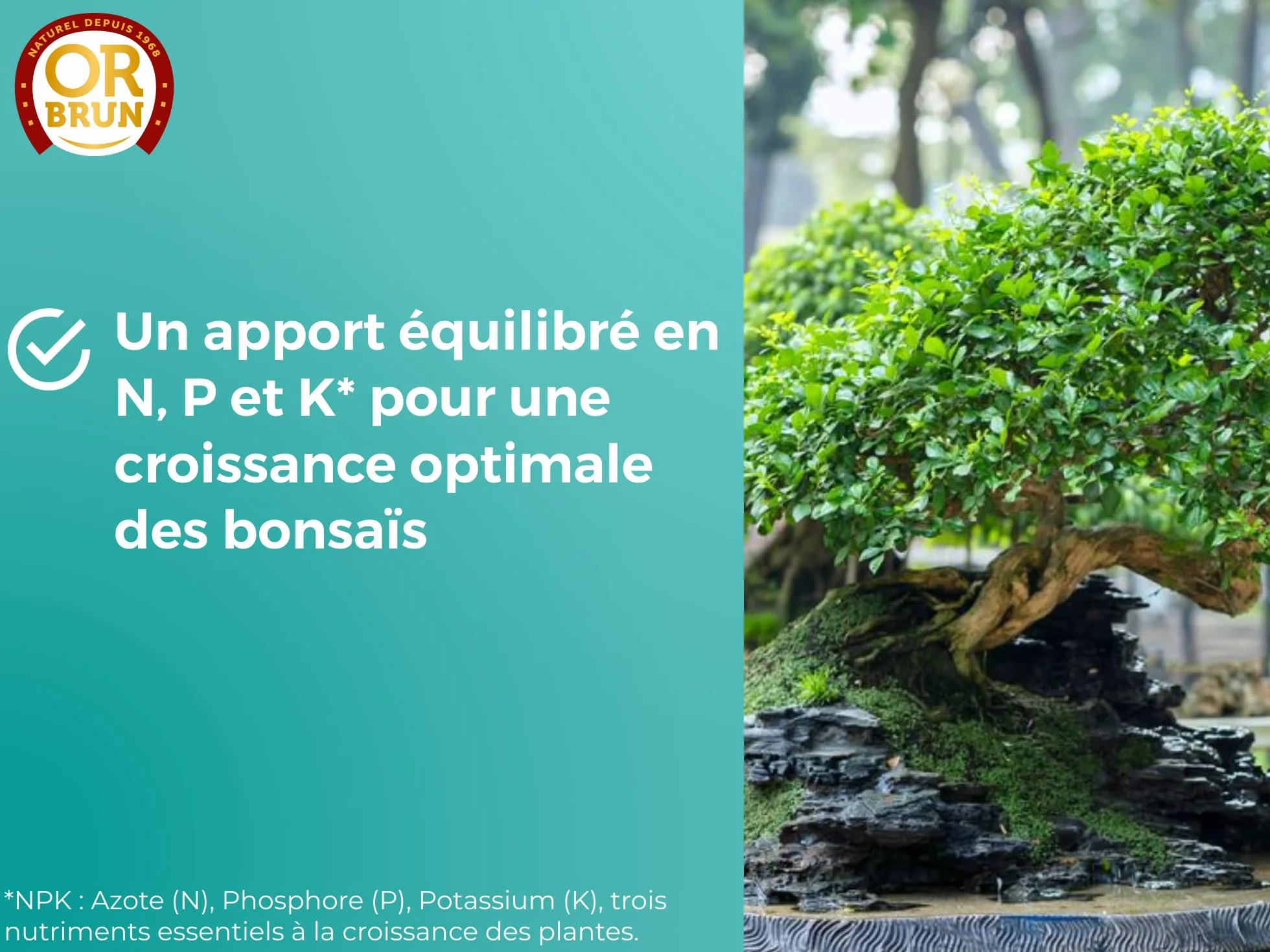 Engrais Bonsaïs 250ml OBRECLBONSAI250 Fabriqué En France Agriculture Biologique