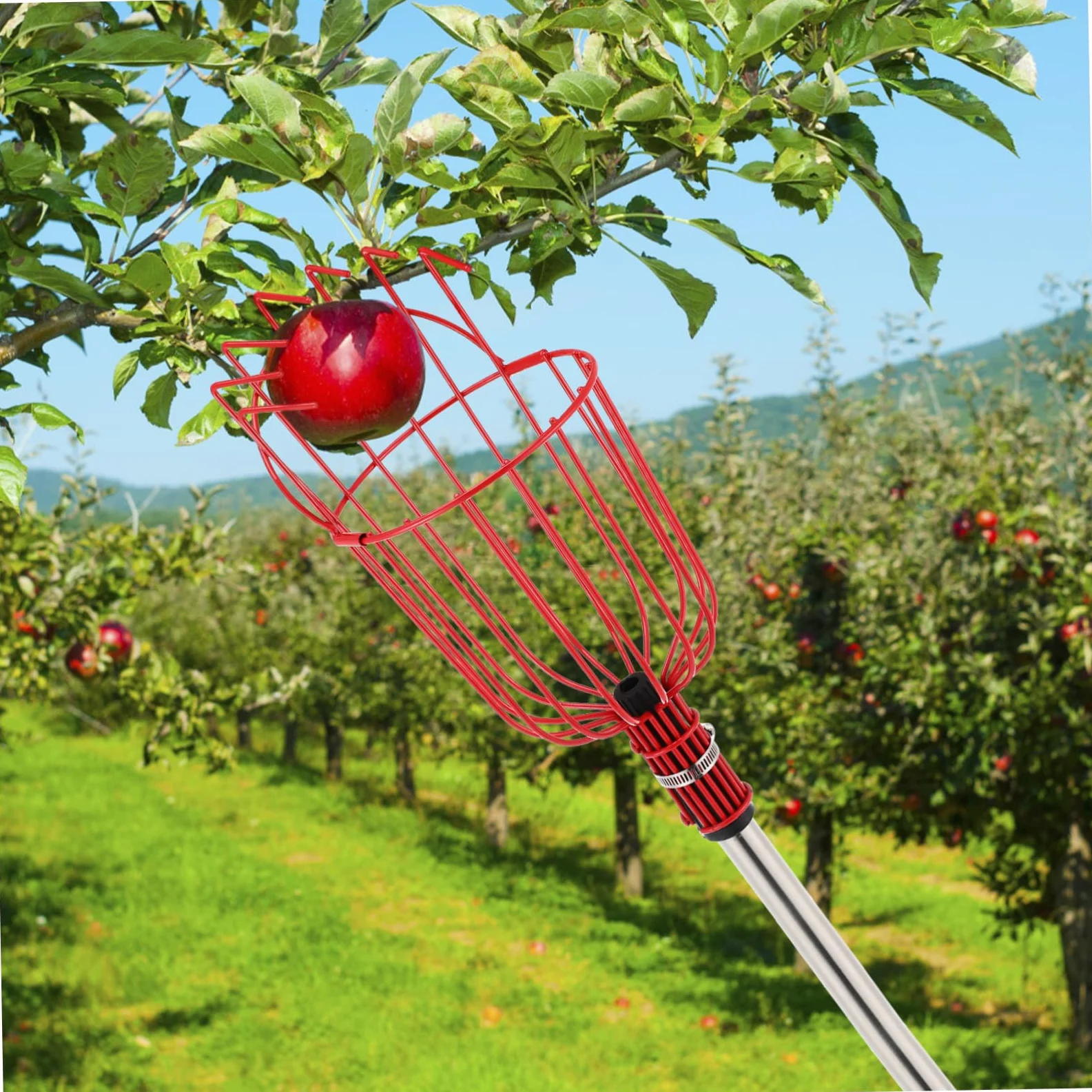 Artibetter Cueille-Fruits Extensible avec Panier pour Pommes Oranges Et Poires Outil pour Fruits avec Perche