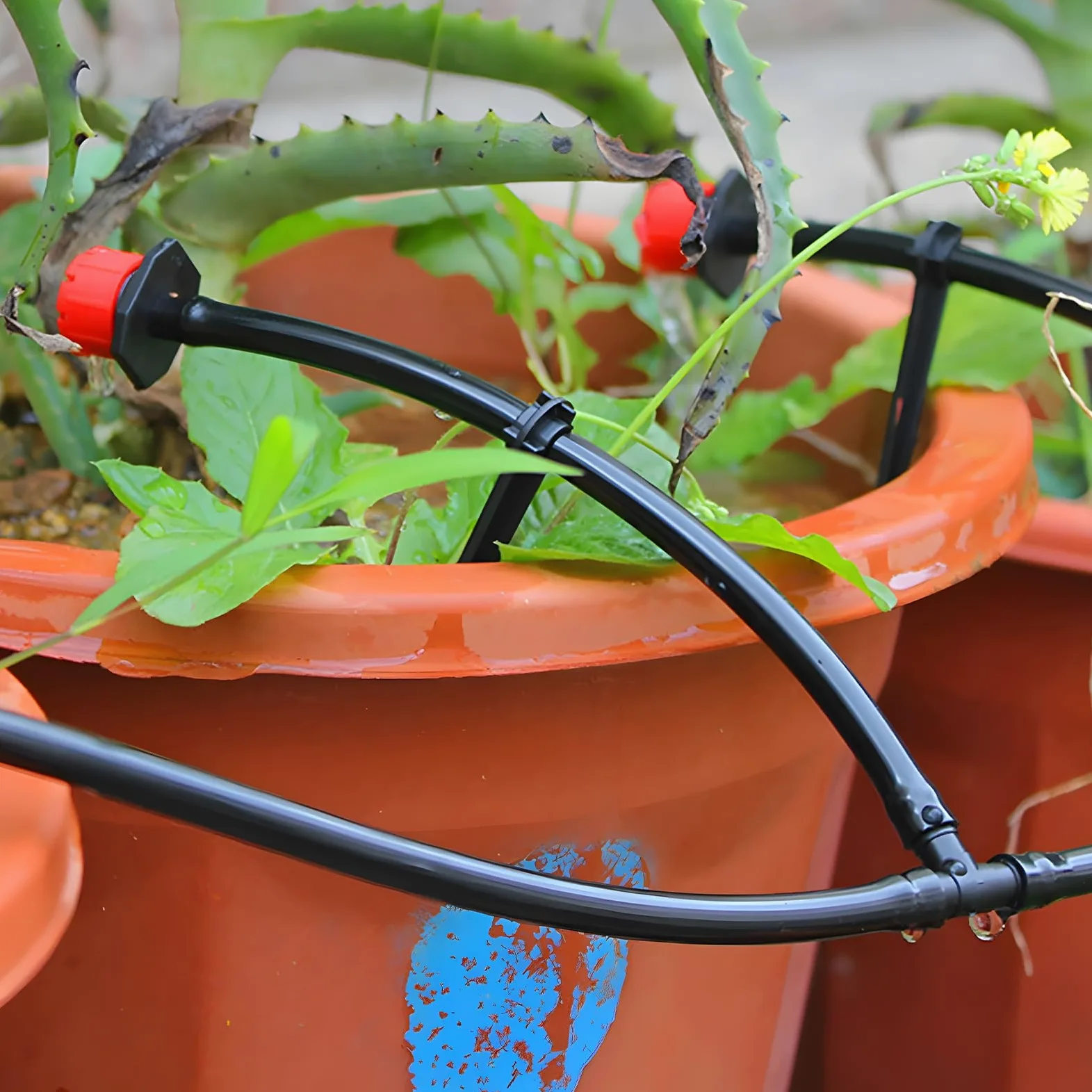 Nikou Système d'irrigation Jardin, 315 Pièces Micro Irrigation Goutte à Goutte Kit avec 60M + 15M Tuyau, Kit Arrosage Automatique pour Paysage Refroidissement, Pelouse, Plante, Potager