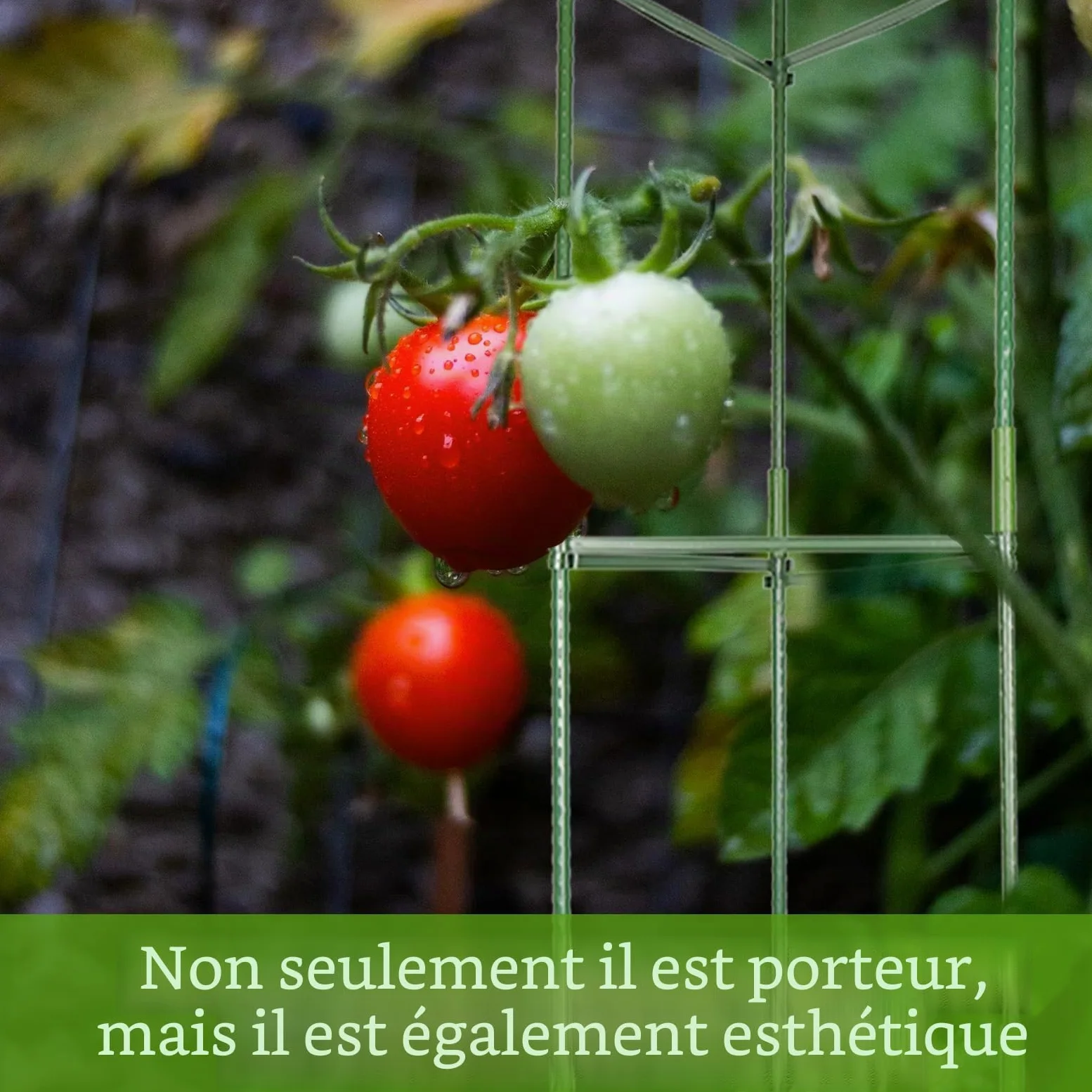 Lot de 6 supports de cages à tomates, piquets déformables assemblés, jusqu'à 122 cm, cage à tomates multifonction pour plantes de jardin