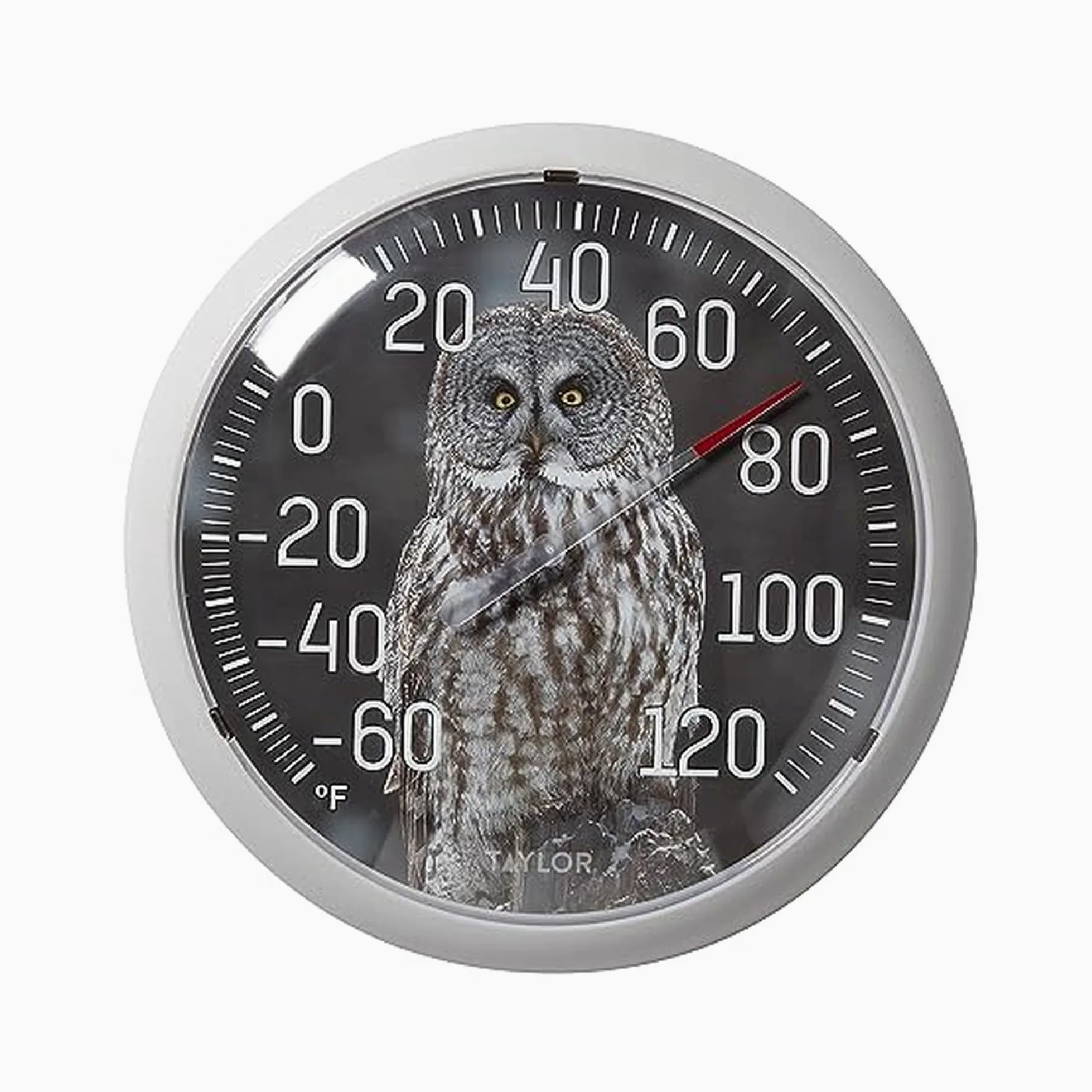 Taylor Nature Series Thermomètre d'intérieur et d'extérieur en forme de hibou, décoration murale facile à lire pour terrasse, piscine, cour, jardin ou garage, 33,2 cm, lunette grise