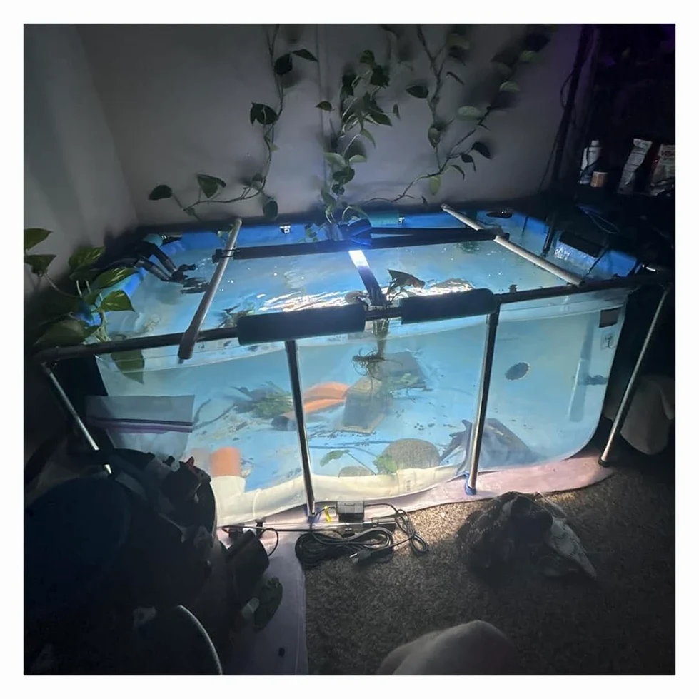 Rygcrud Bassin pour Aquarium - Toile PVC avec Cadre en Acier, Bassin À Koïs Hors Sol Préformé avec Fenêtre Transparente, Grande Capacité Bassin D'élevage(140x140x35cm)