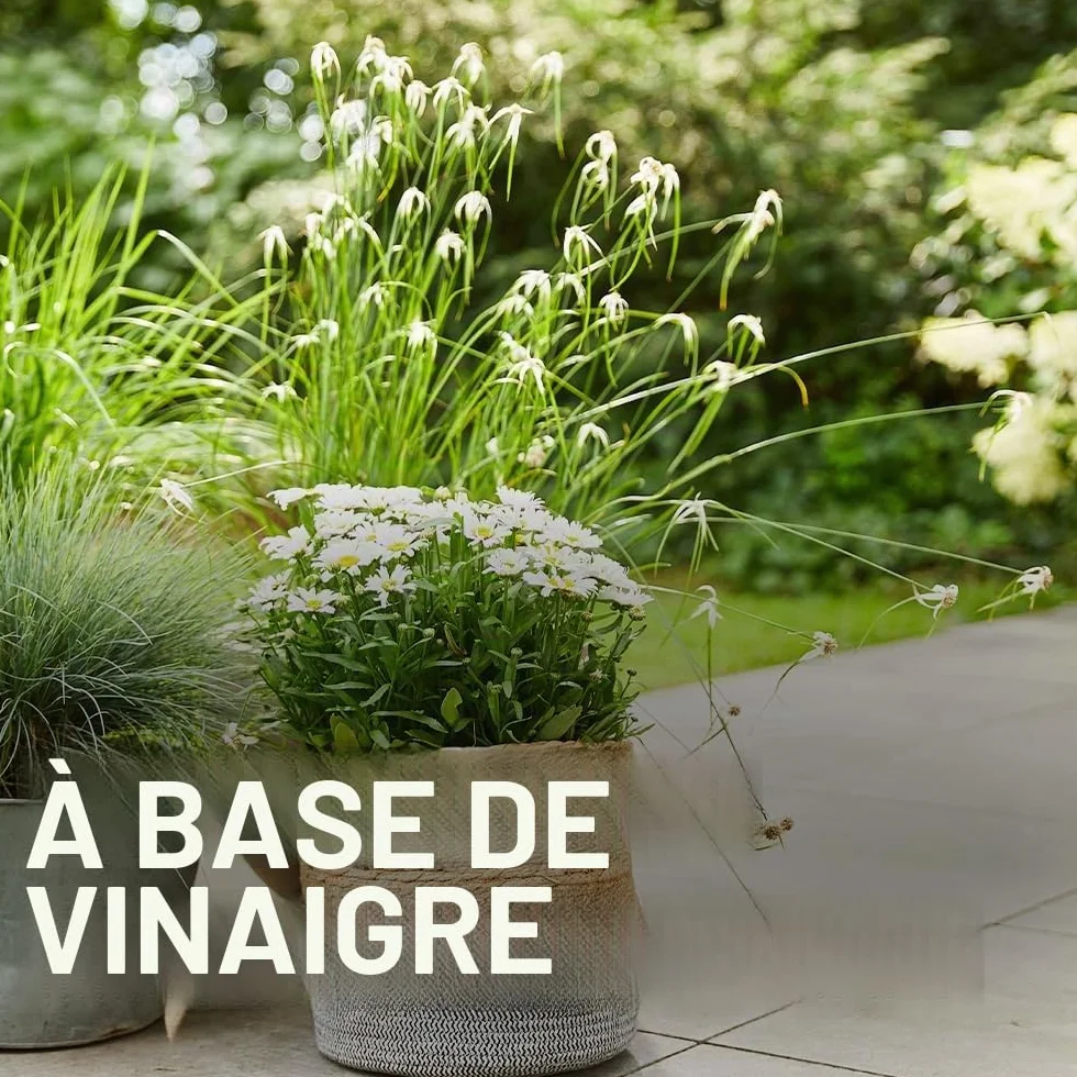 COMPO Vinaigre bio 3 l pour 500 m² éliminer mauvaises herbes