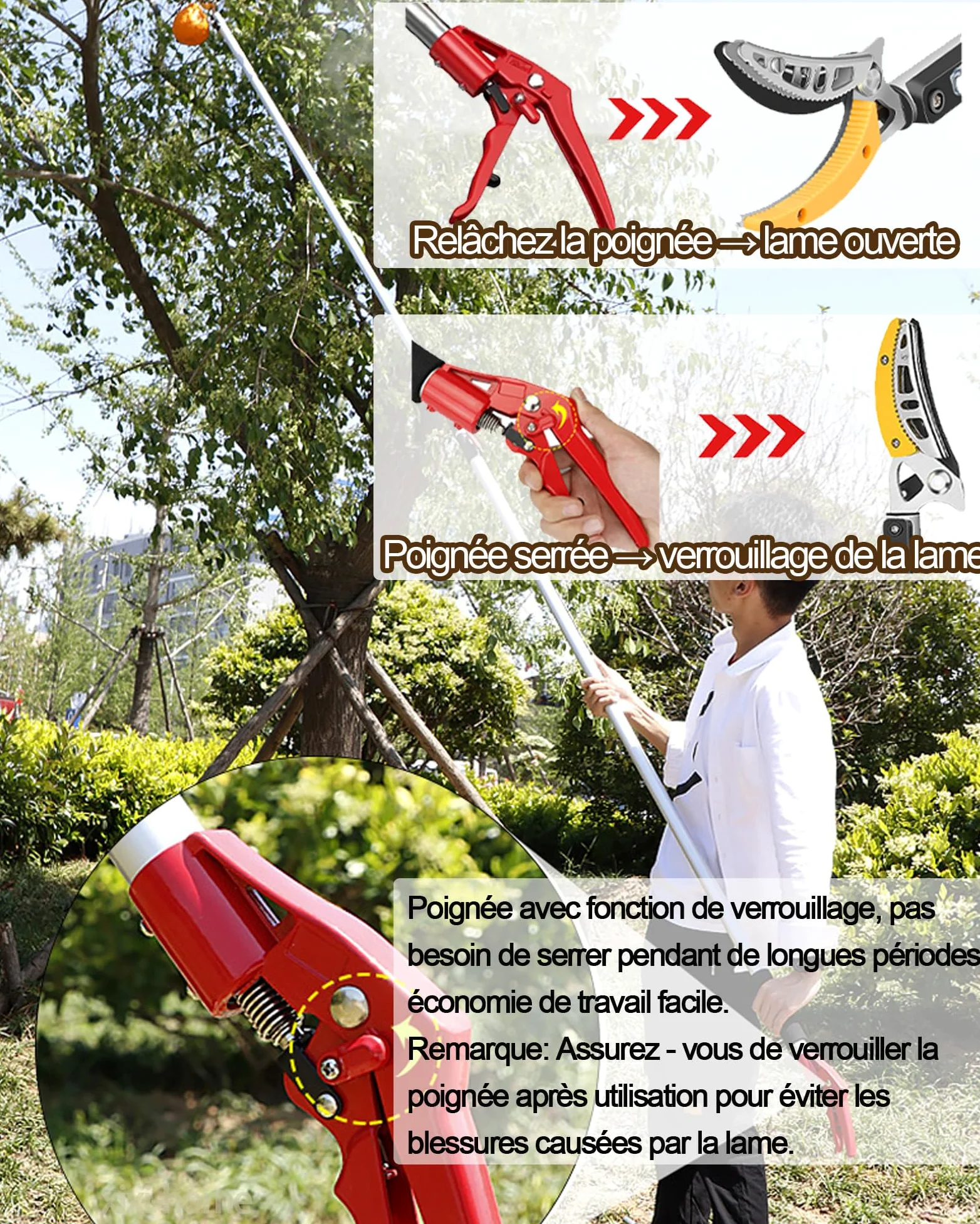 Sécateur Télescopique Sécateur de Jardin Télescopique Extensible Multifonction 1.4 à 3 m pour travailler sur de longues distances lame de scie la cueillette de fruits-2 têtes de couteau