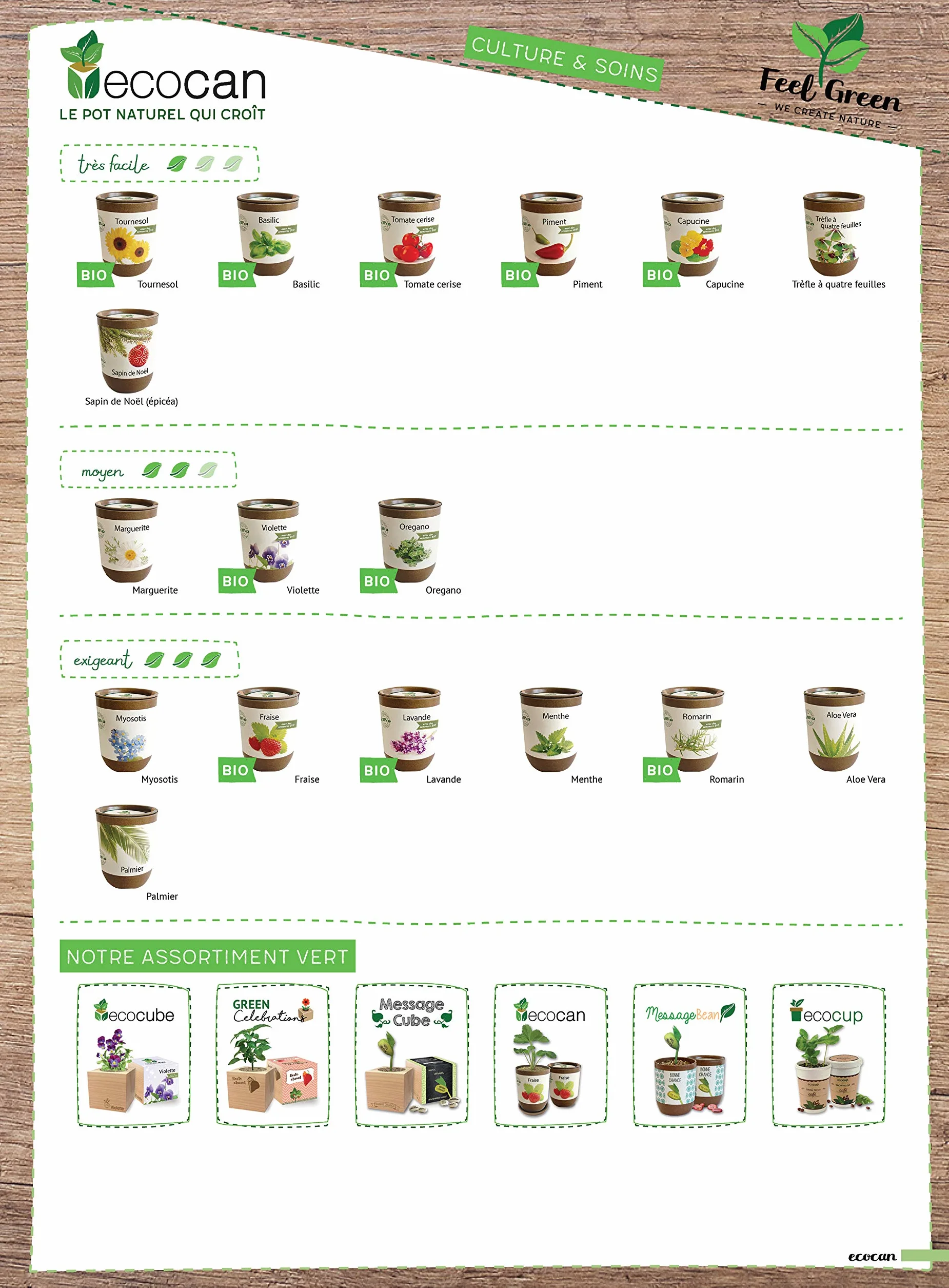Feel Green Ecocan Trèfle À Quatre Feuilles 100% Biodégradable Kit Prêt-à-Pousser Le Pot Écologique 9 x 7 cm Produit en Autriche
