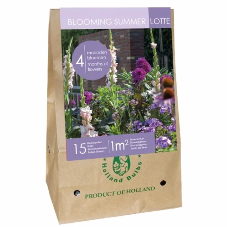 Jub Mix Bulbes Fleurs été Mauves