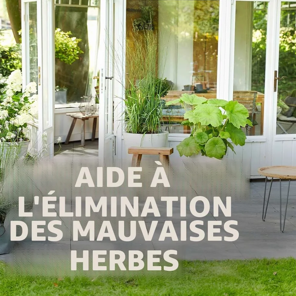 COMPO Vinaigre bio 3 l pour 500 m² éliminer mauvaises herbes