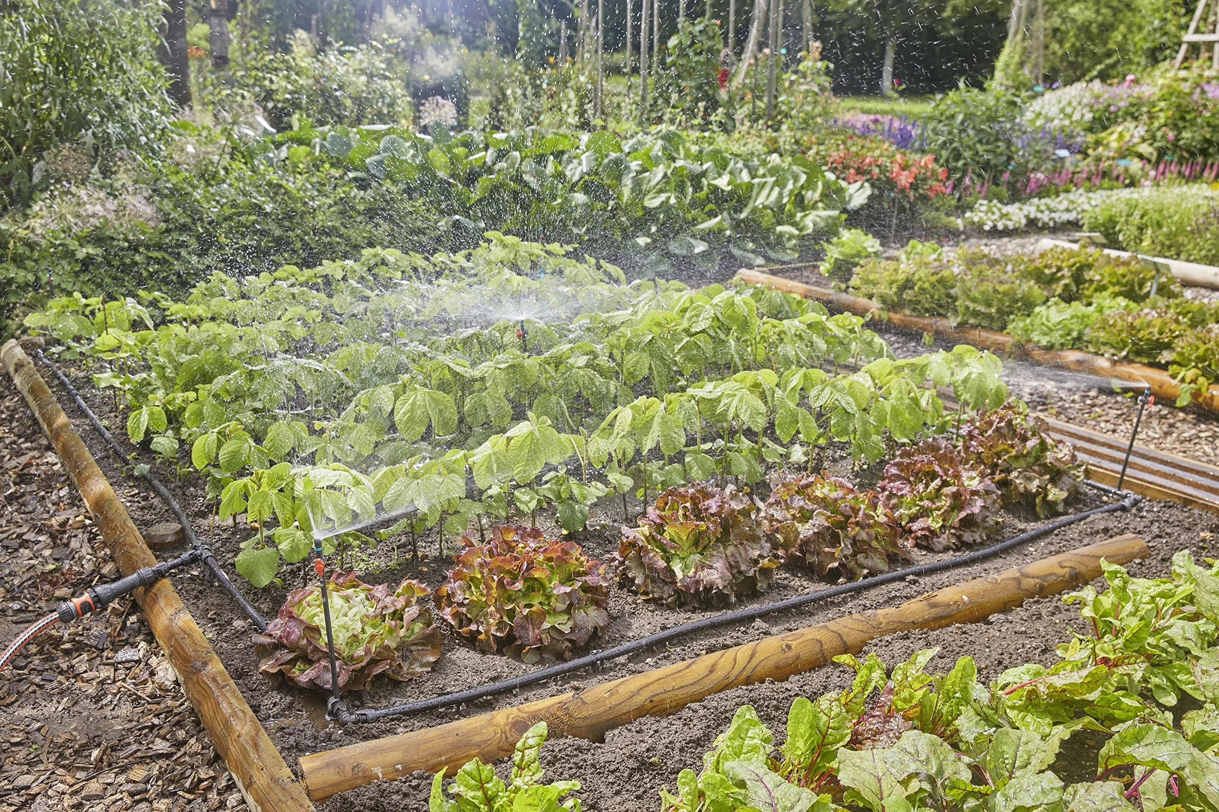 Gardena Micro-Drip System Kit d'irrigation goutte à goutte pour parterres de légumes/fleurs (40 m²): kit de démarrage prêt à l'emploi, système d'irrigation à économie d'eau (13450-20)