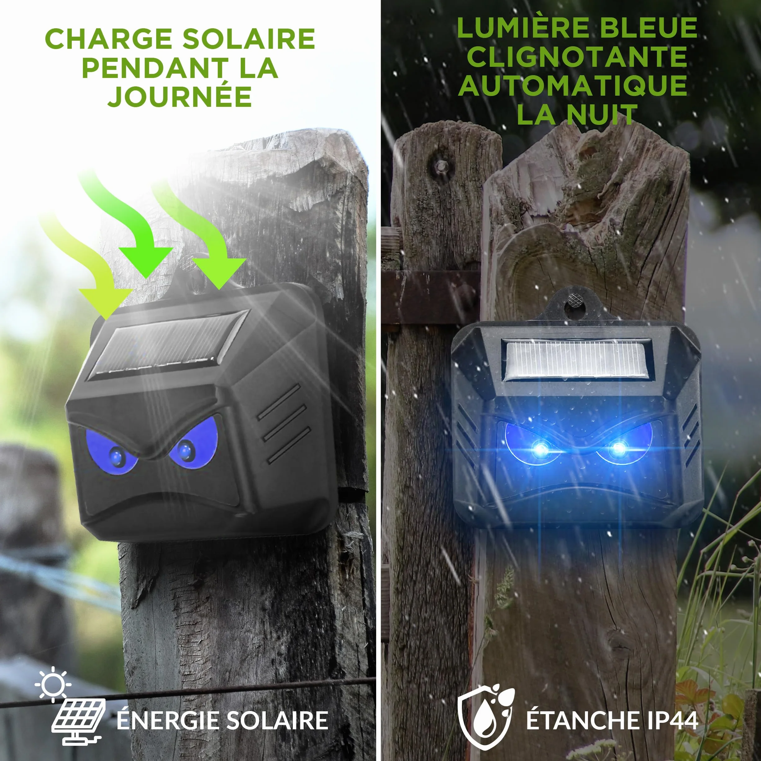 ISOTRONIC Répulsif Solaire Ratons Laveurs Cerfs Renards Sangliers Protection Animaux Sauvages LED Bleue 40 m² Lot de 4 Pièces Jardin
