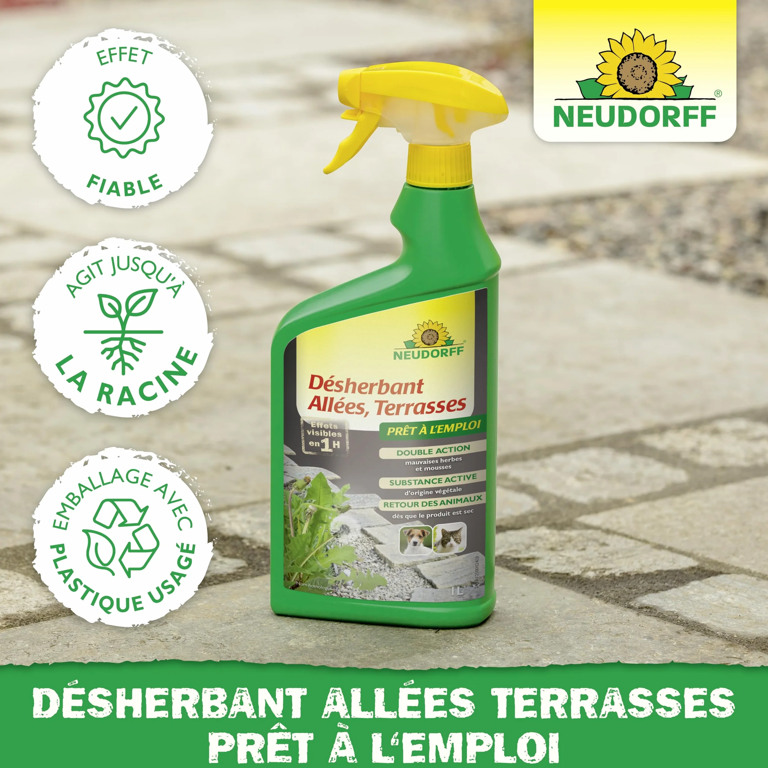 Neudorff Finalsan Désherbant Allées Terrasses 3 L Sans Glyphosate