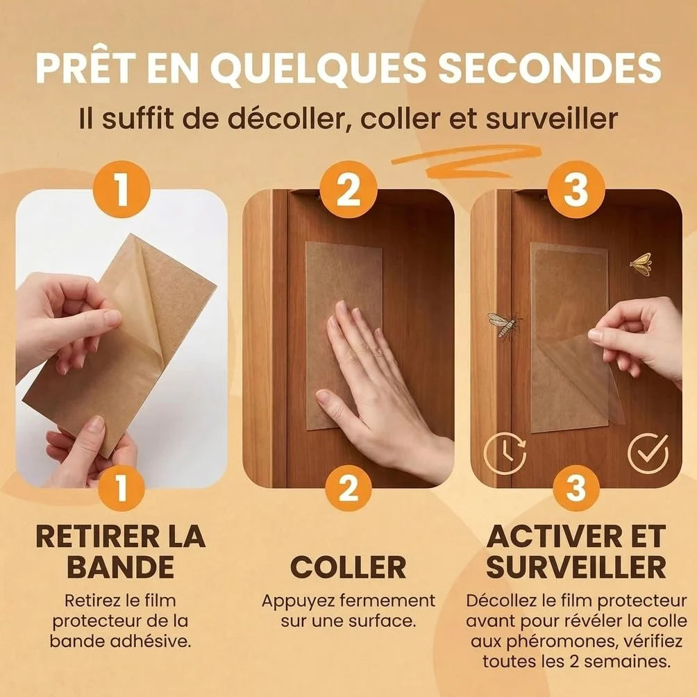 Pestmatic Piège à Mites Alimentaires Pack Eco 10 Unités Phéromone Puissante