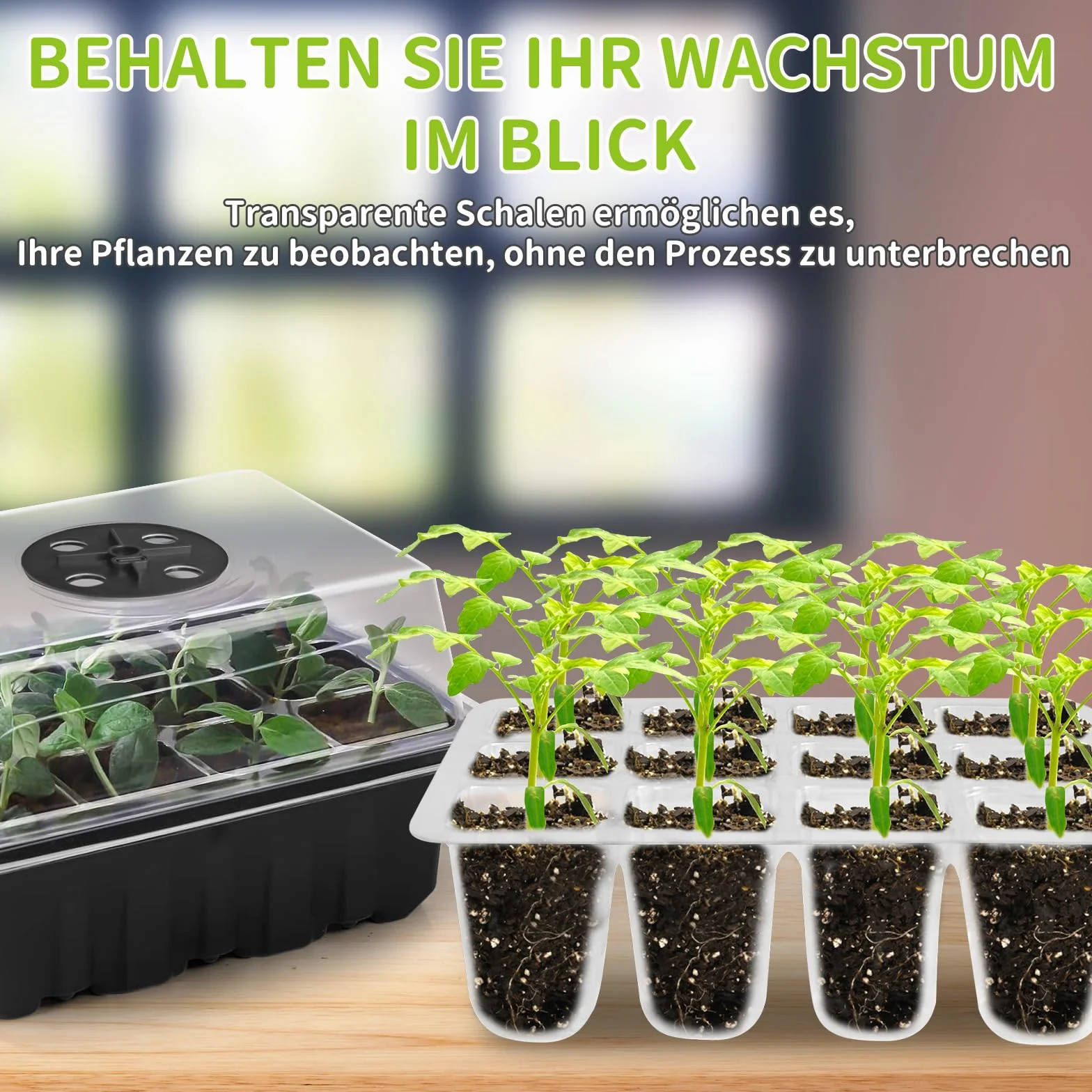 NAMOTEK Station de Germination 5 pièces avec Tapis Chauffant & Lampe de Croissance – 60 cellules, Mini-Serre