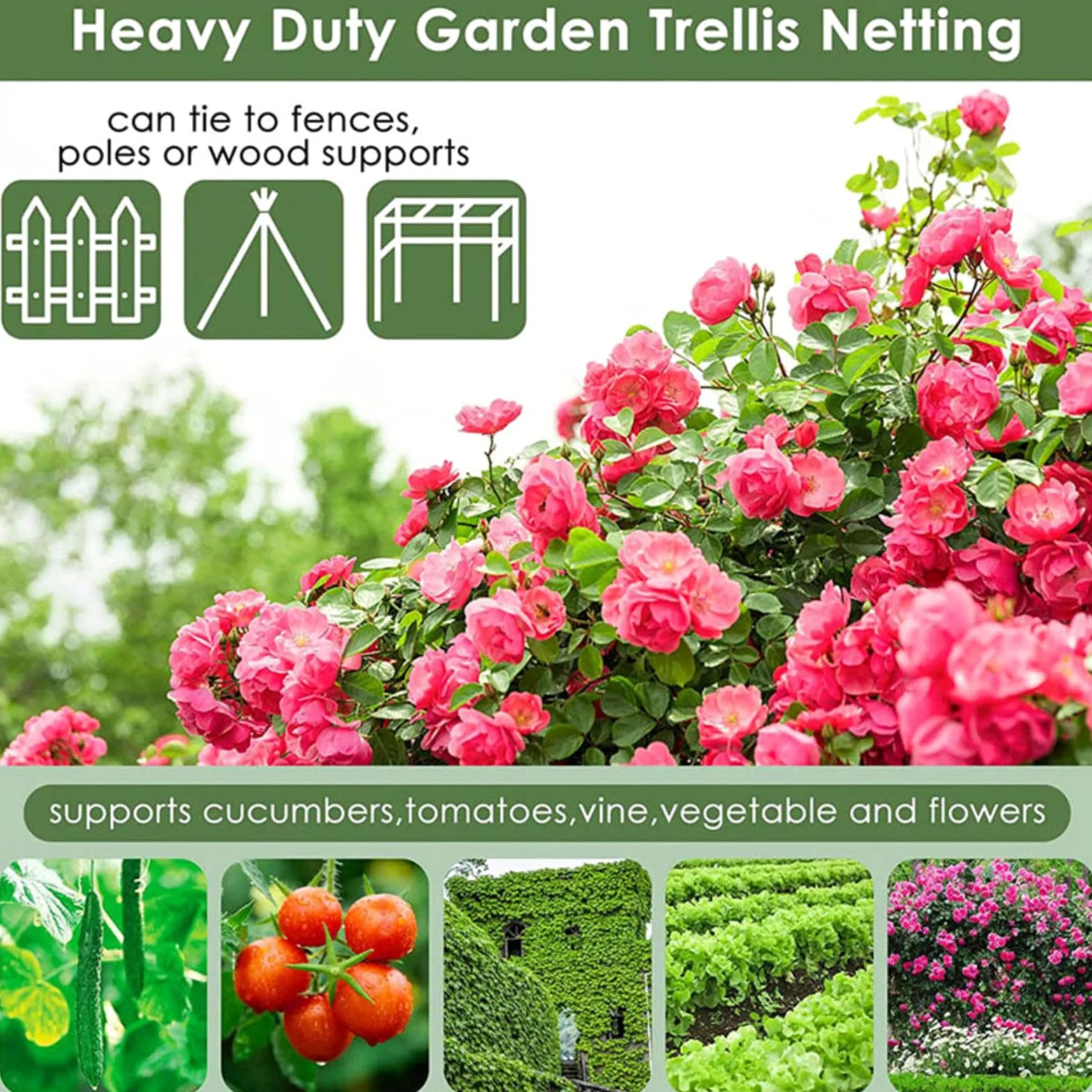 Filet Protection Oiseaux Potager Filet Jardin Anti Oiseaux pour Filet de Plantes, Protège Plantes, Fruits, Fleurs et Légumes,6x10m