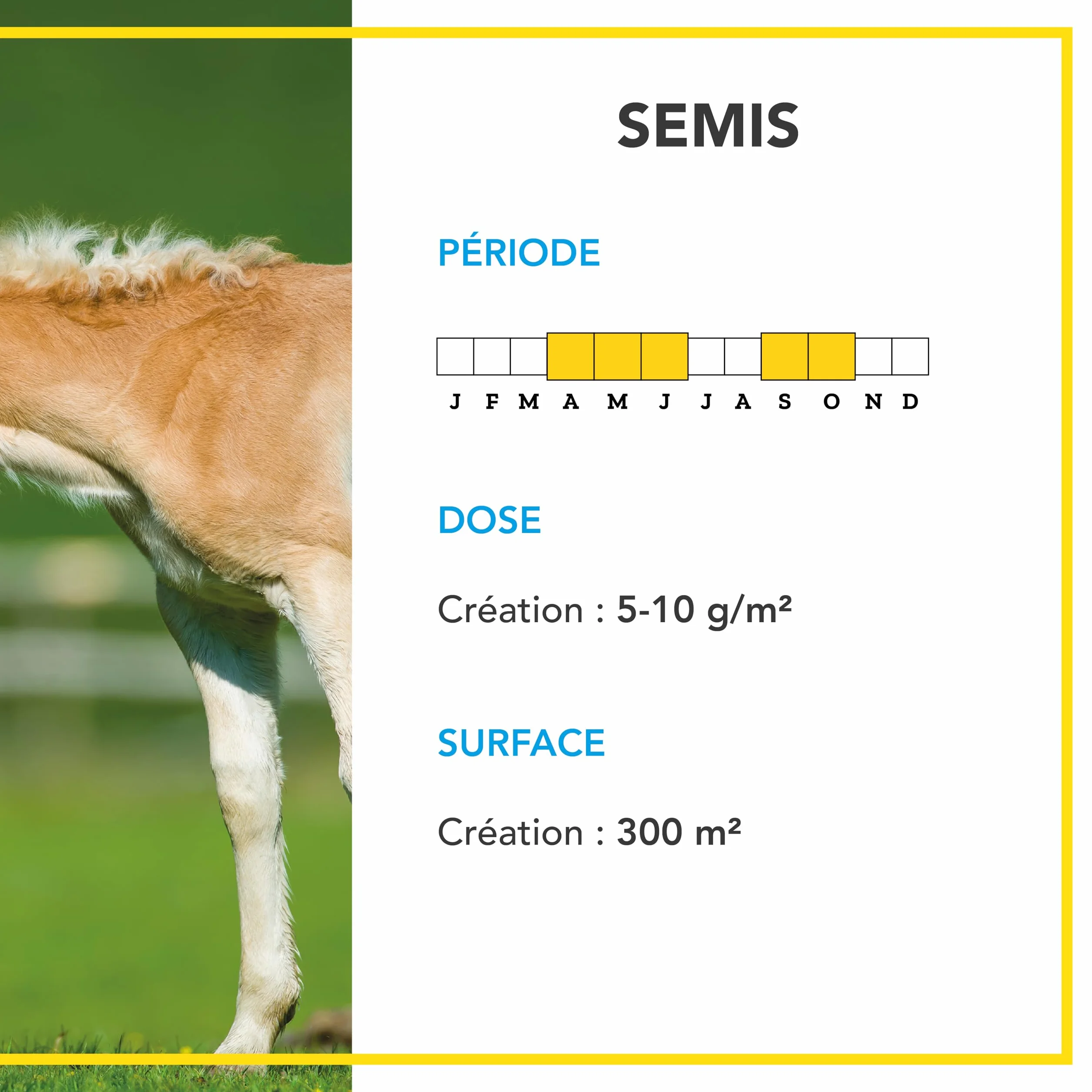 BARENBRUG Mélange Prairie Production Alimentation pour Animaux 1KG