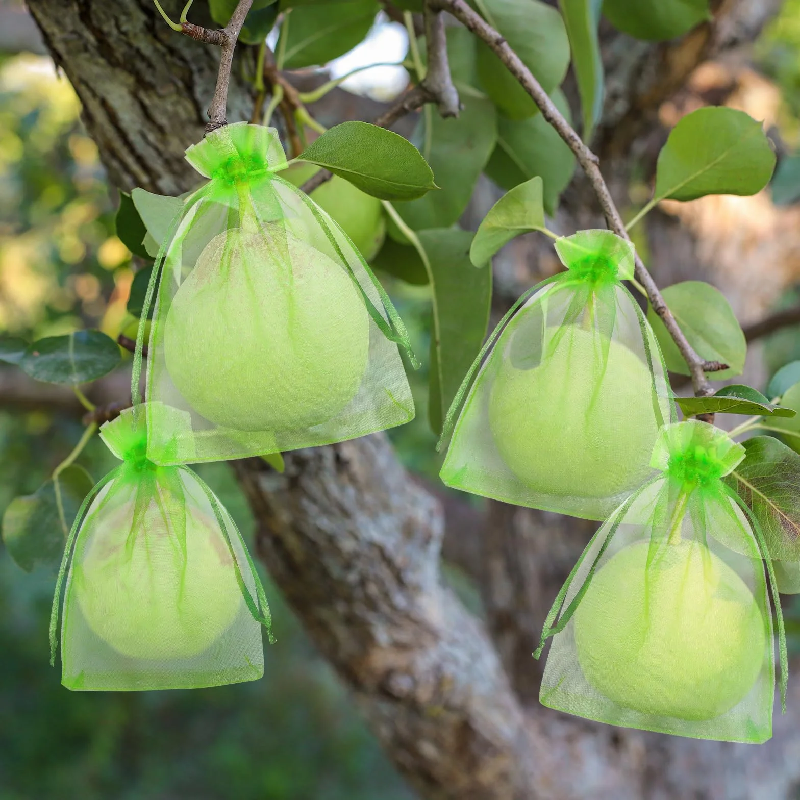Sac de Raisin Net 15x20cm Filet Anti-Insectes Réutilisable 50pcs Protection Fruits Légumes Jardin