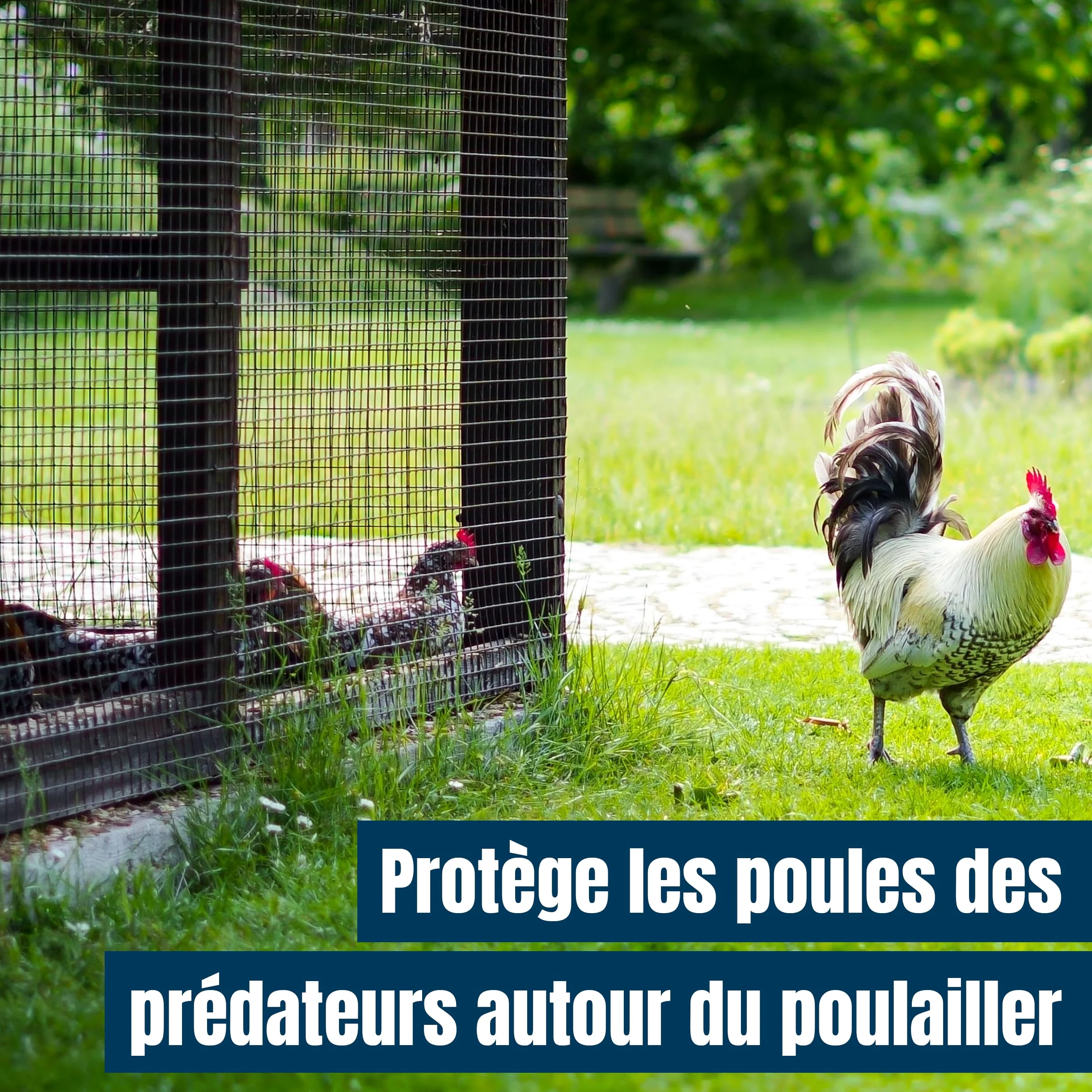 MP Filet Anti-Oiseaux, 2,1 x 19,8 m, 40 g/m²