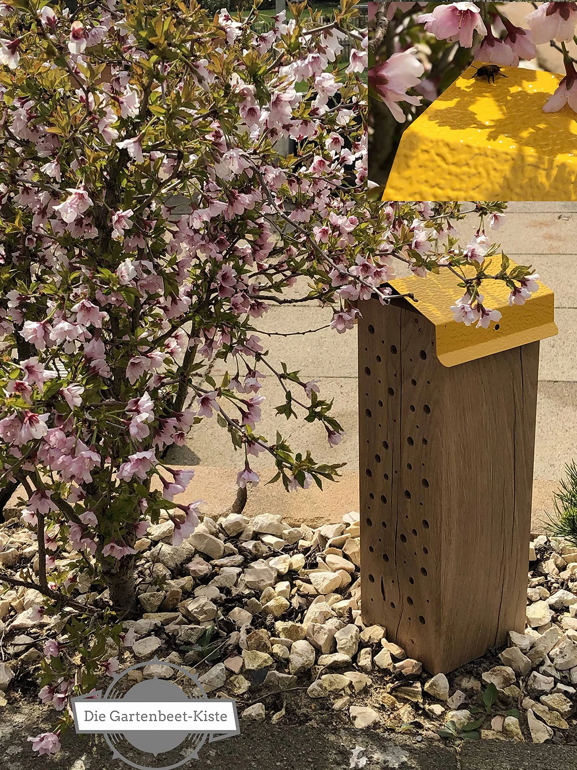 Hôtel à insectes pour abeilles sauvages Chêne massif 25 cm