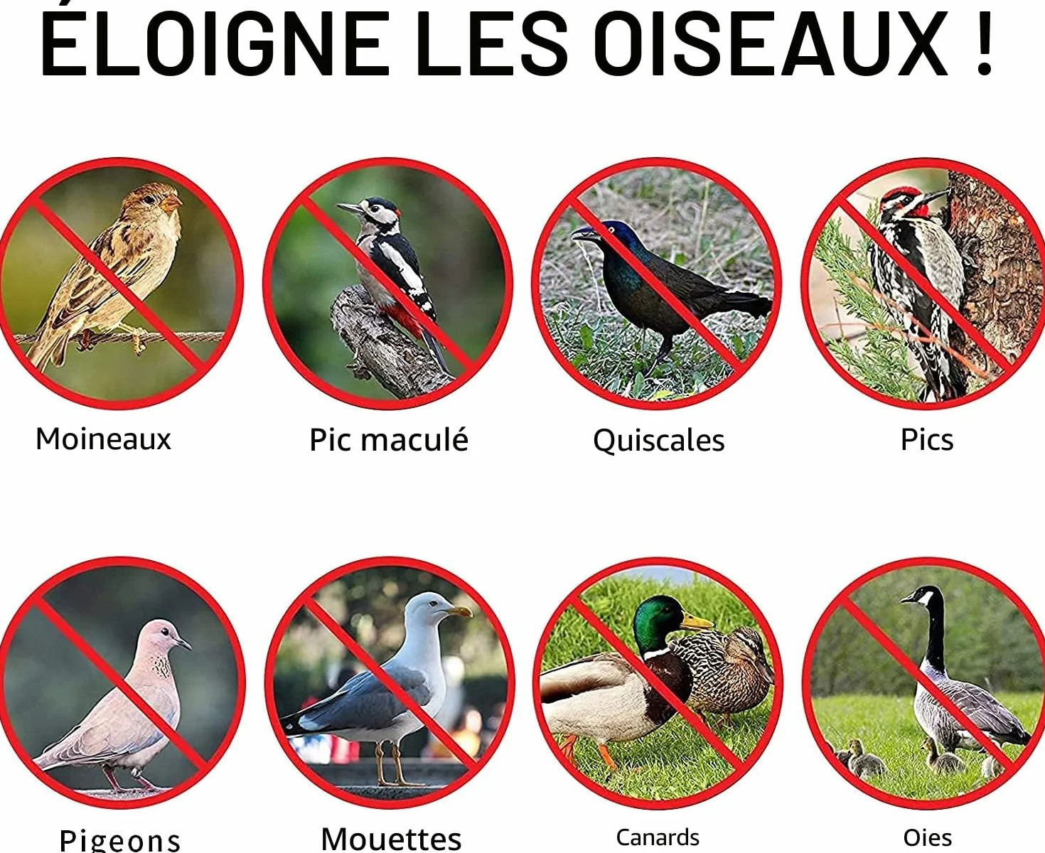 PIQIUQIU Bande répulsive pour oiseaux 80 m x 4,5 cm réfléchissante