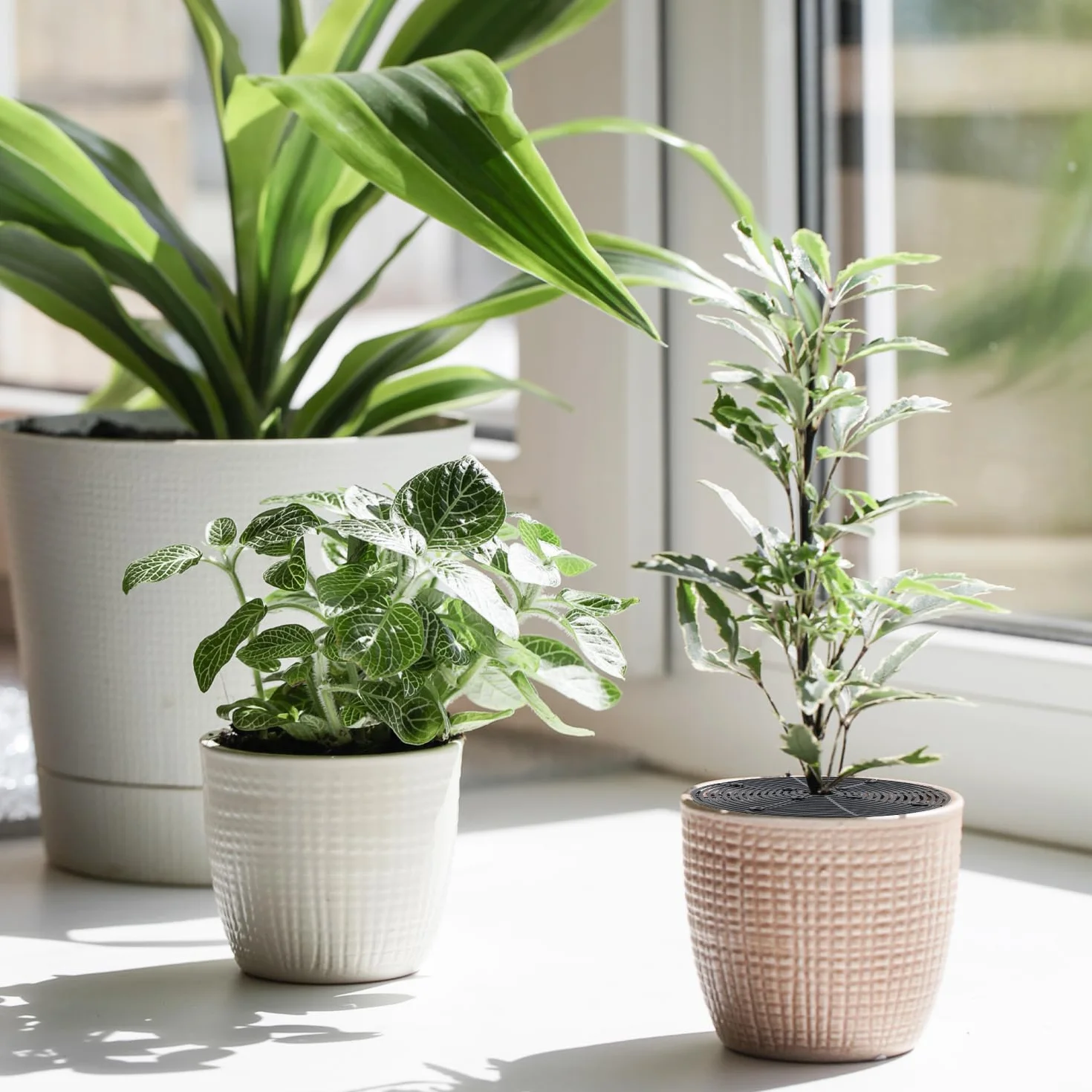 QWORK Lot de 4 Protections de Sol pour Pot Plante Ø 30 cm - Protection Chats Enfants