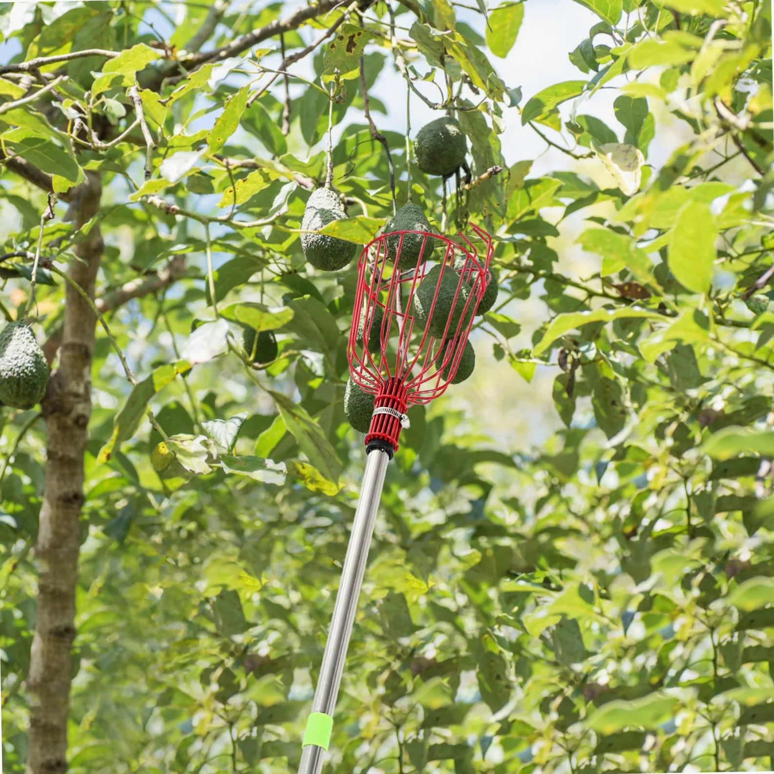Artibetter Cueille-Fruits Extensible avec Panier pour Pommes Oranges Et Poires Outil pour Fruits avec Perche