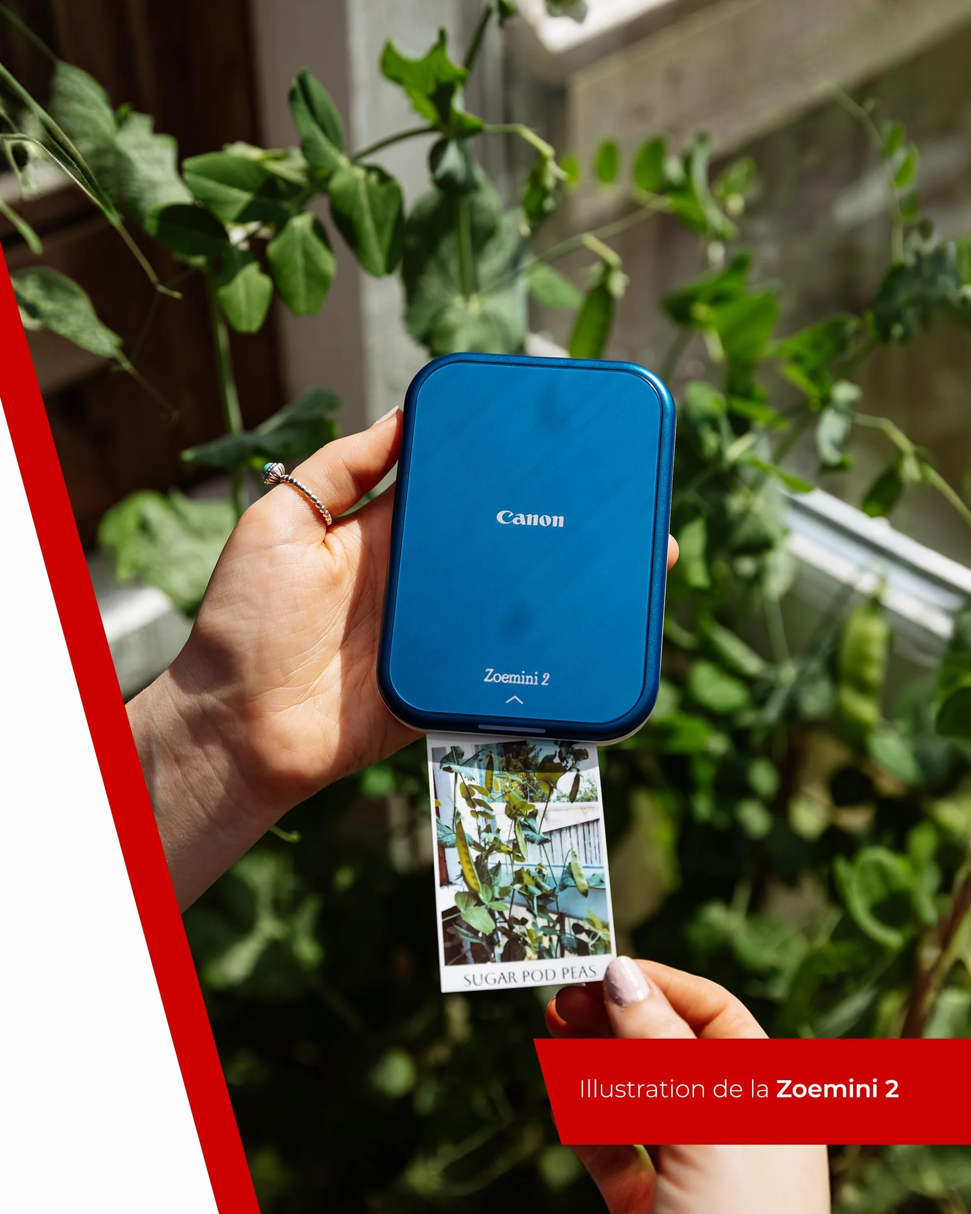 Canon Zoemini 2 Imprimante Photo Portable Bluetooth USB-C Rechargeable, Kit avec 20 Feuilles Autocollantes ZP-2030 + 10 Feuilles Circulaires 3,3 cm Zink, Bleu