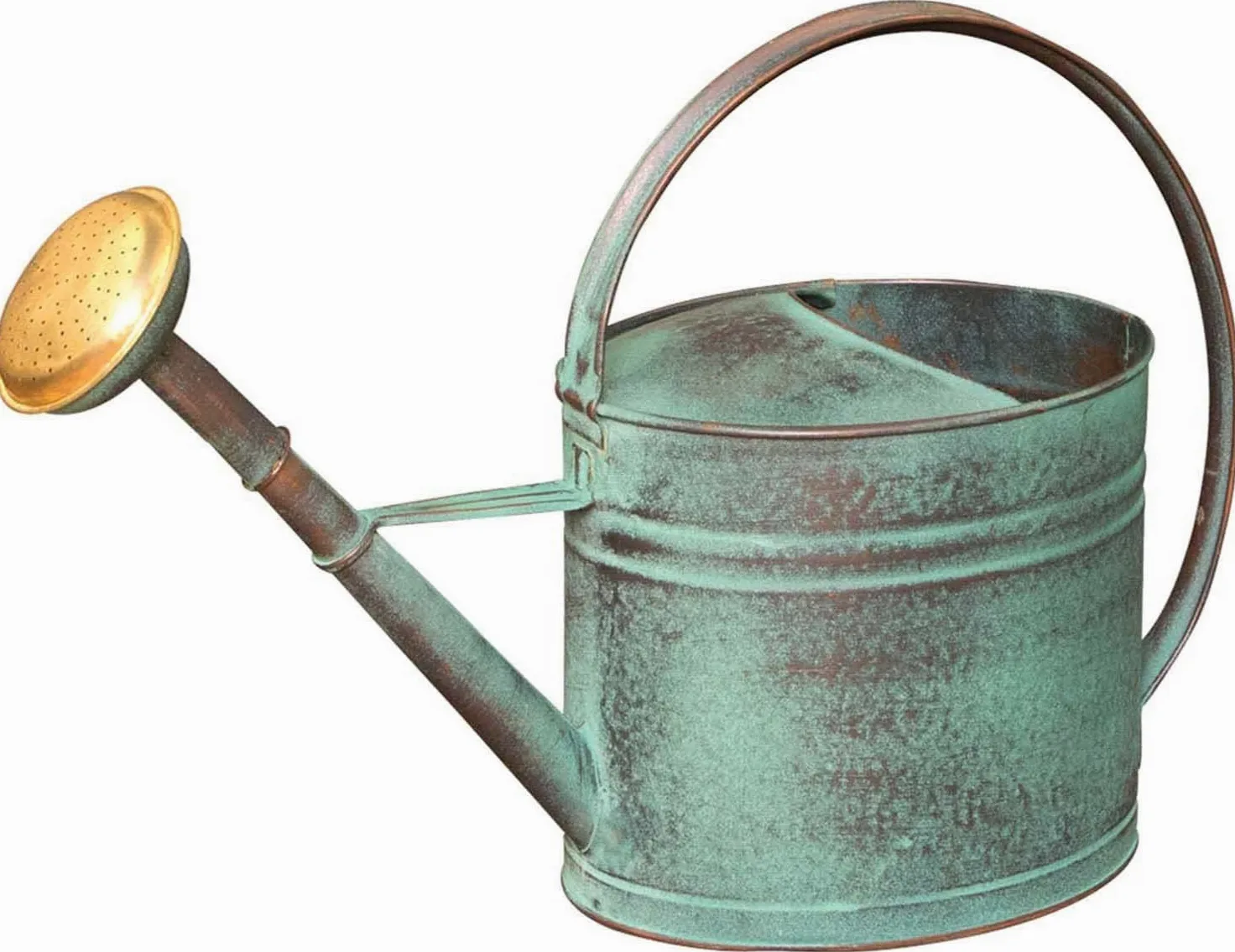 Arrosoir Vert de 4L + Pomme d'arrosage en Laiton
