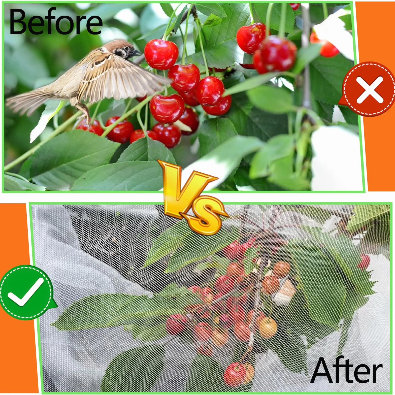 Filet de Protection pour Arbres Fruitiers 3x3m Anti-Oiseaux et Insectes avec Fermeture Éclair Blanc